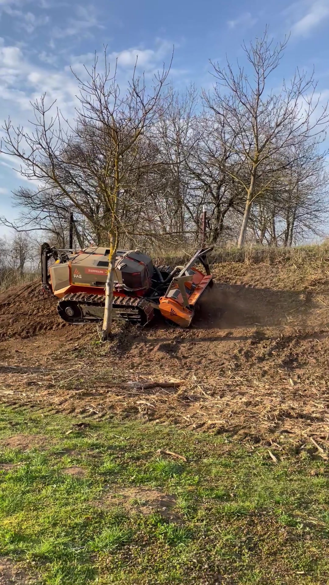 TR DREAM – Rizikové kácení a výškové práce foto 2 (náhled videa)