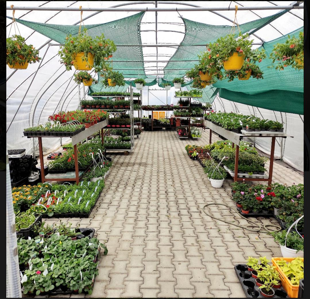 Krčmář služby s.r.o. - zahradnictví foto 3