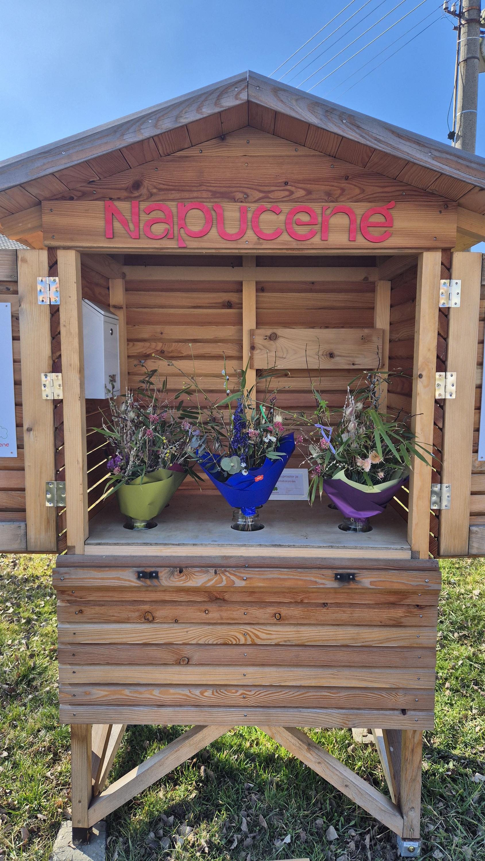 Napučené foto 6