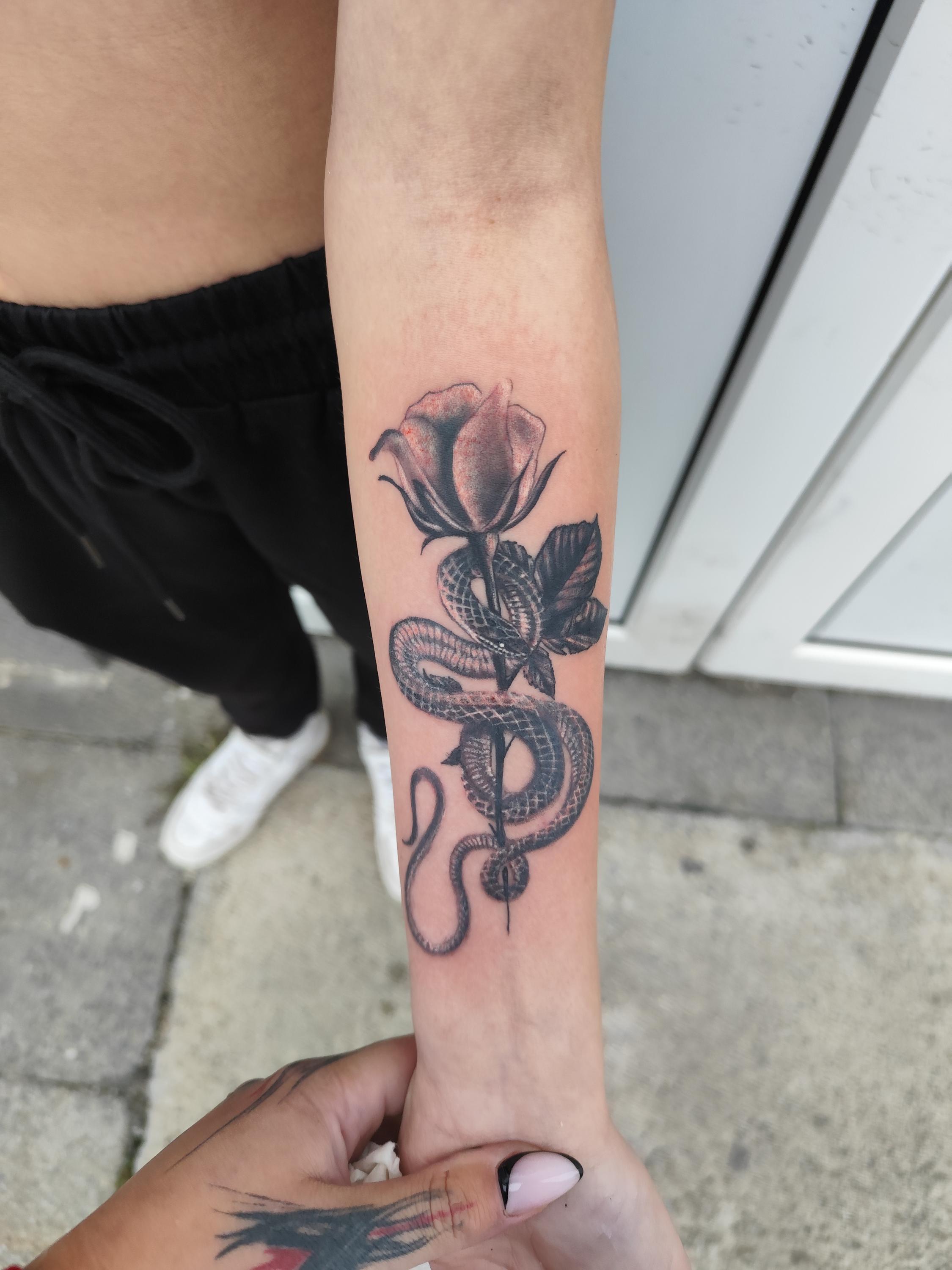 greyfoxtattoo foto 3