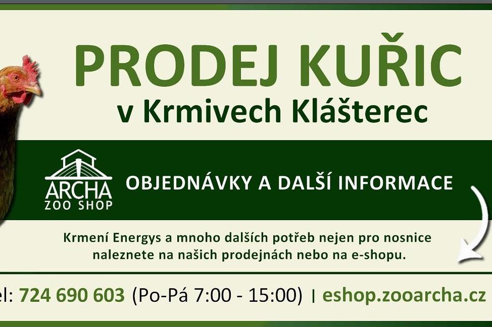 Prodej kuřic