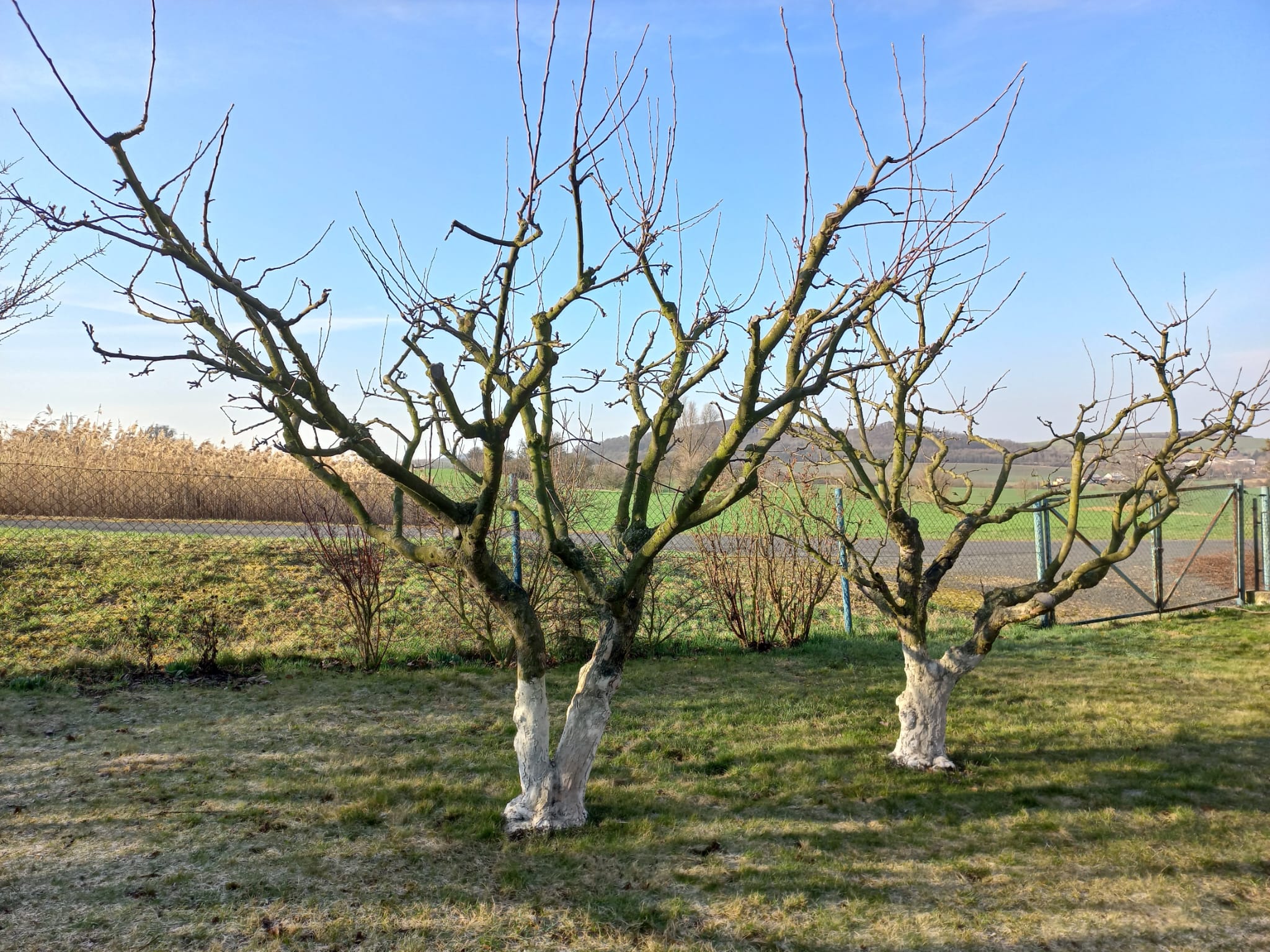 Doma na zahradě foto 2