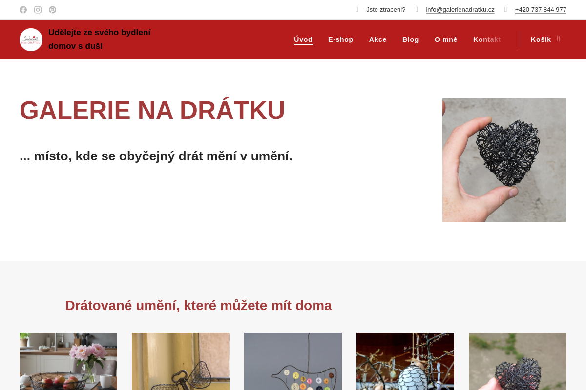 Drátované dekorace Galerie na drátku - Jana Gilchrist