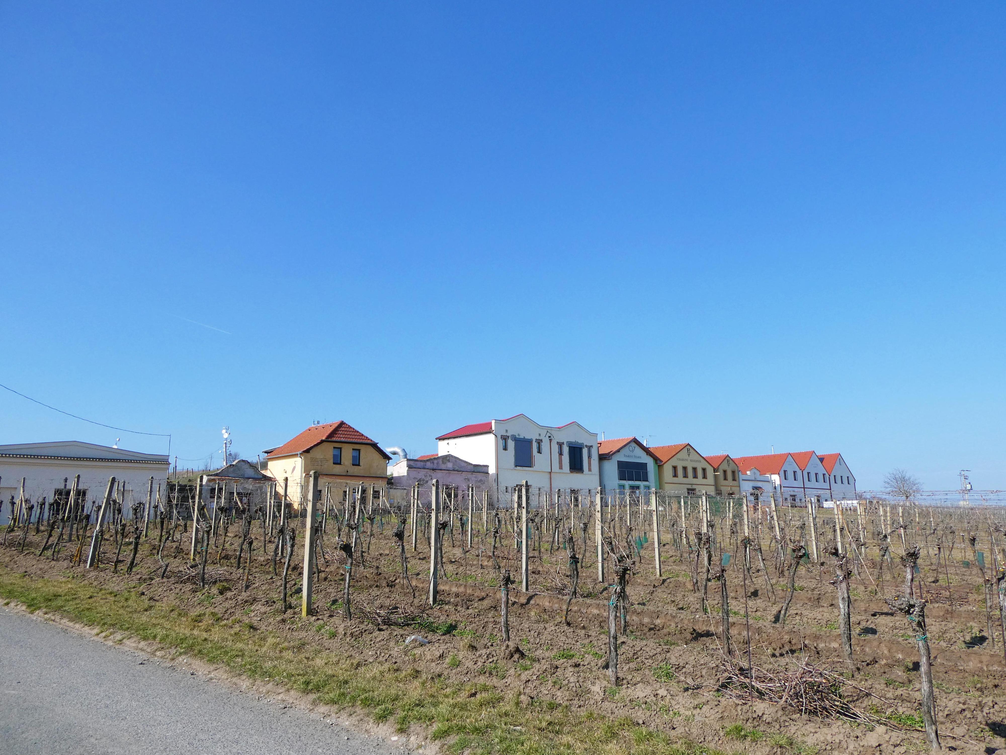 Vinařství Hamerník foto 3
