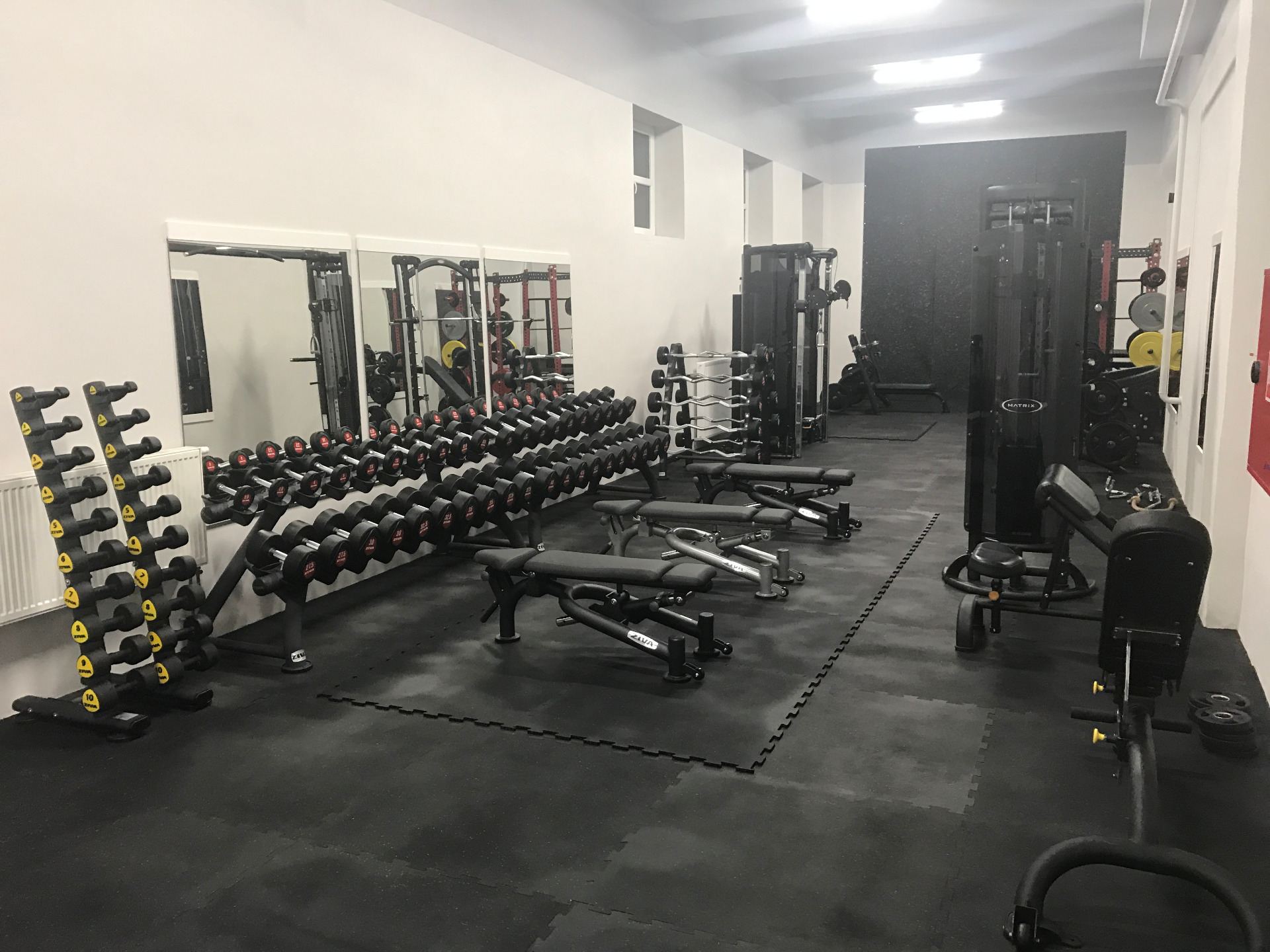 Bastard´s Gym foto 6