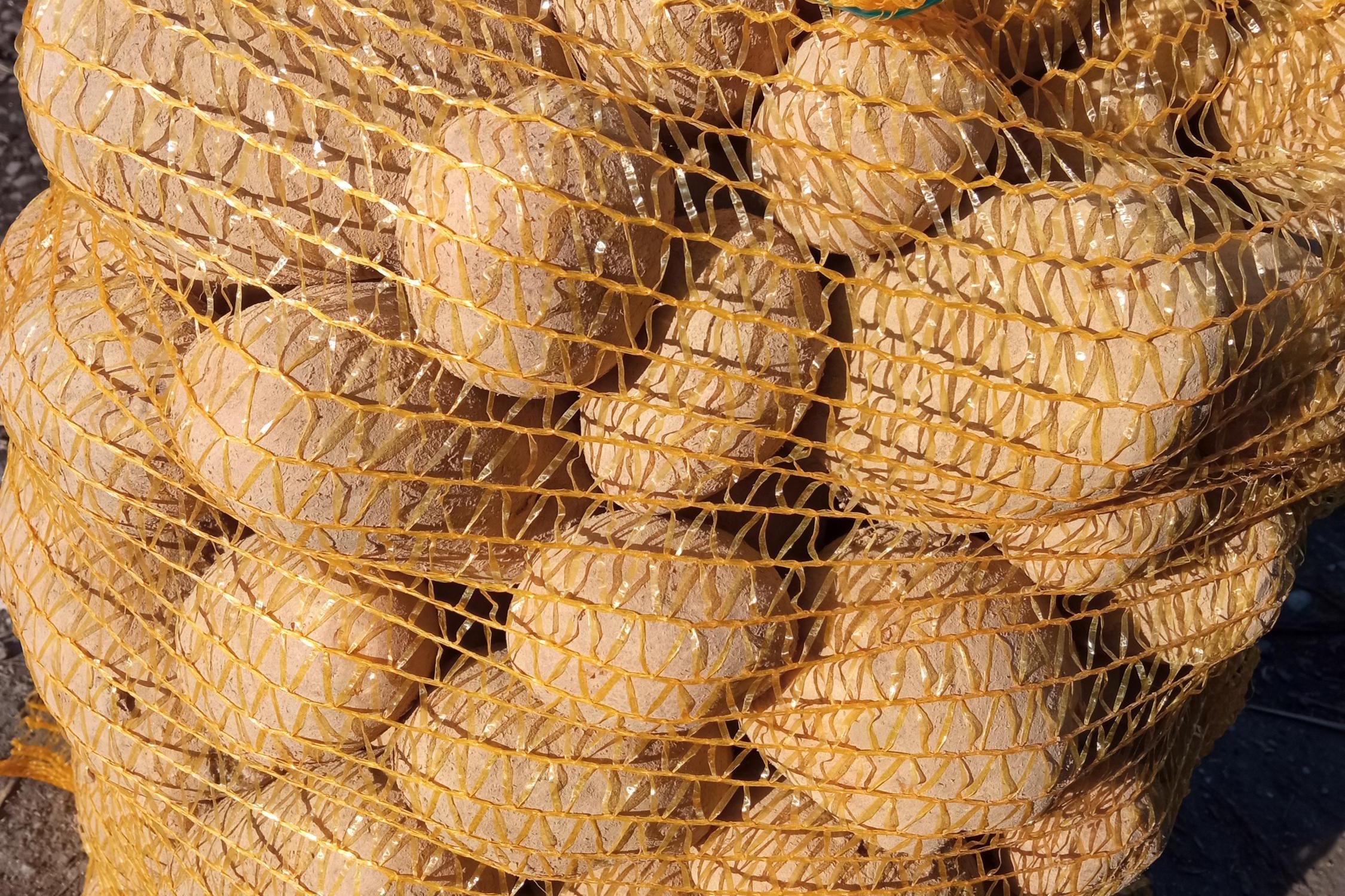 Rostlinná výroba Jiří Pasterňák