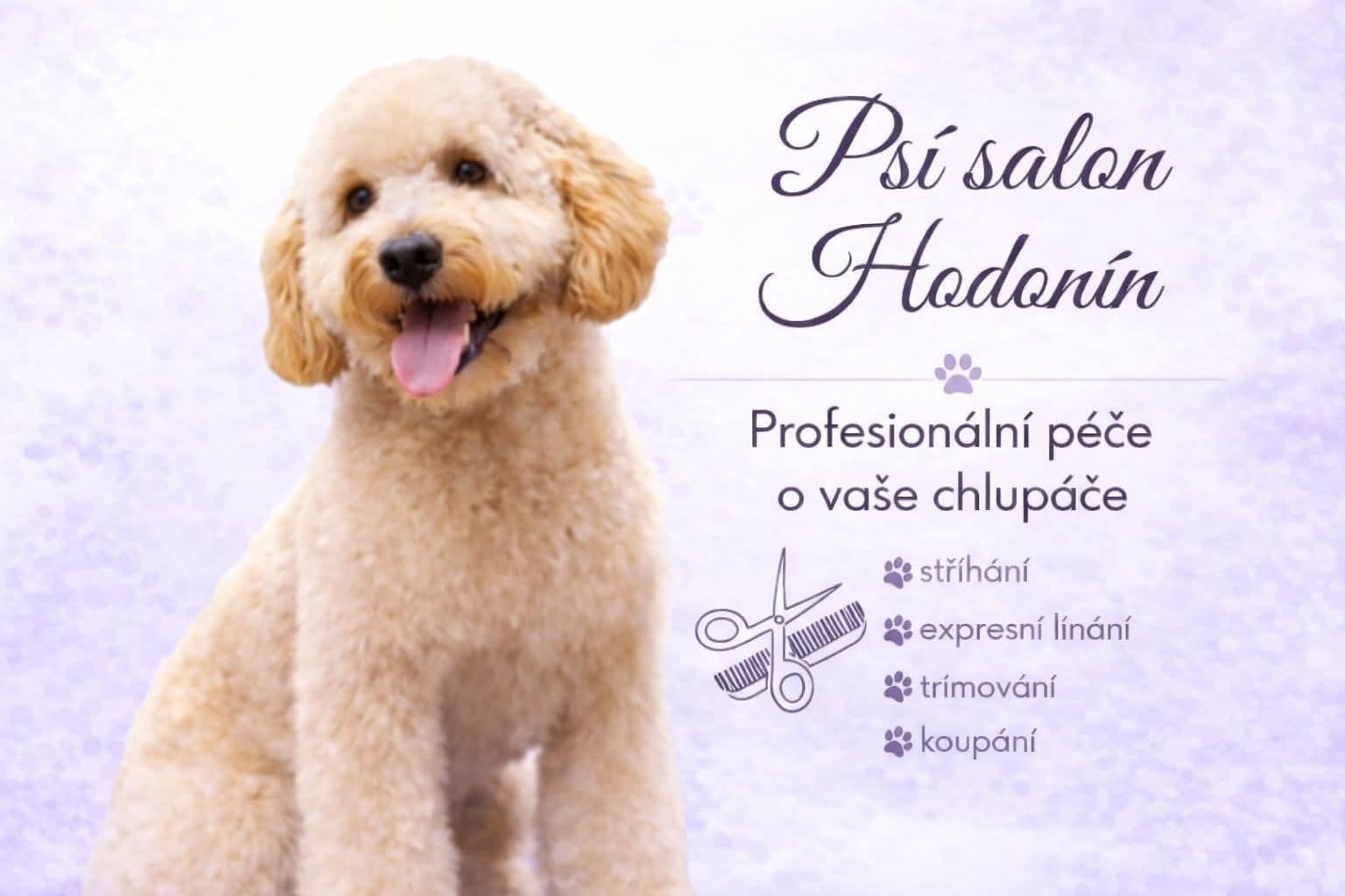 Psí salon Hodonín, Betášová foto 1