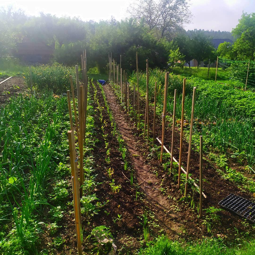 Fajné Hospodářství foto 4