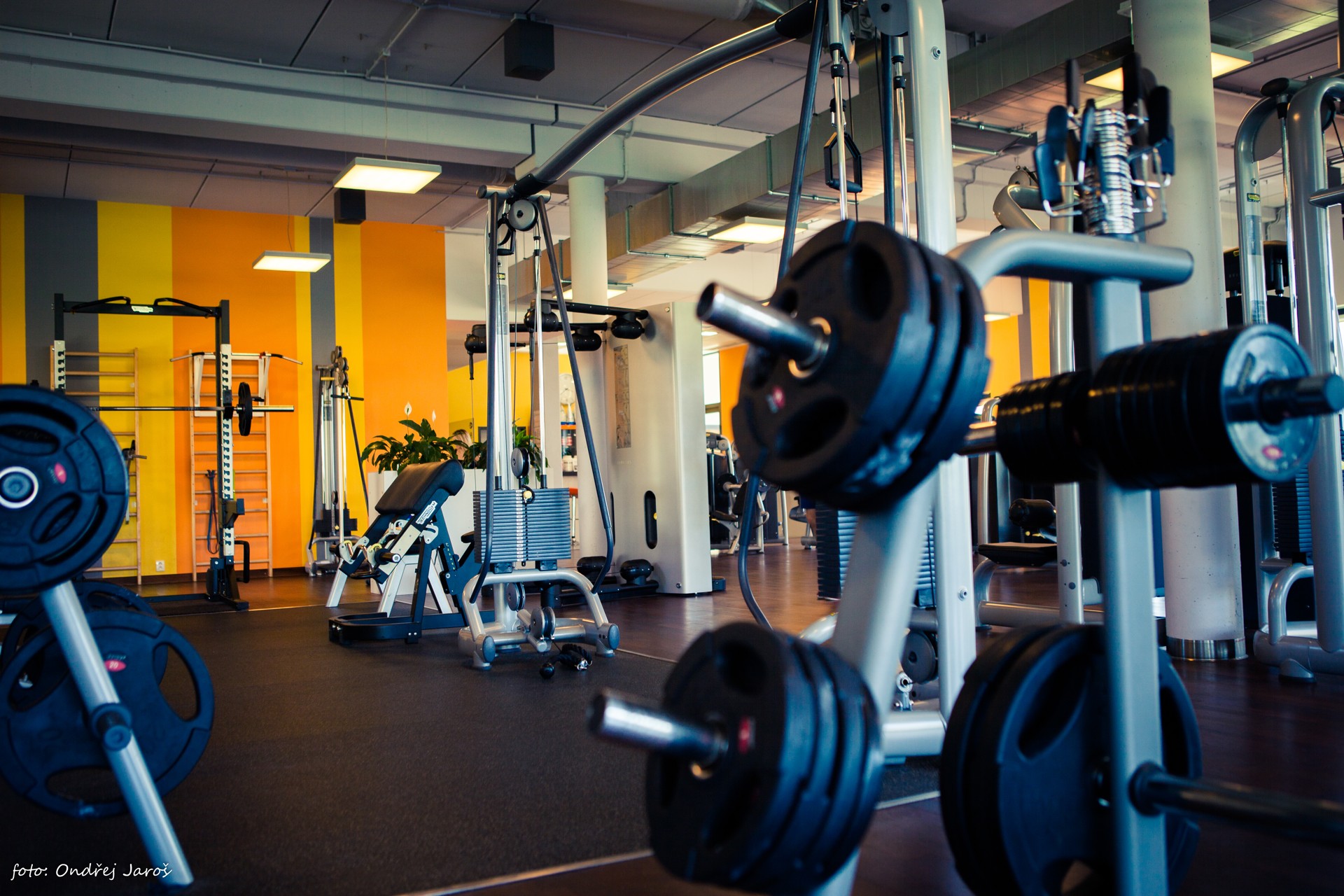 fit4all CENTRUM - posilovna foto 5