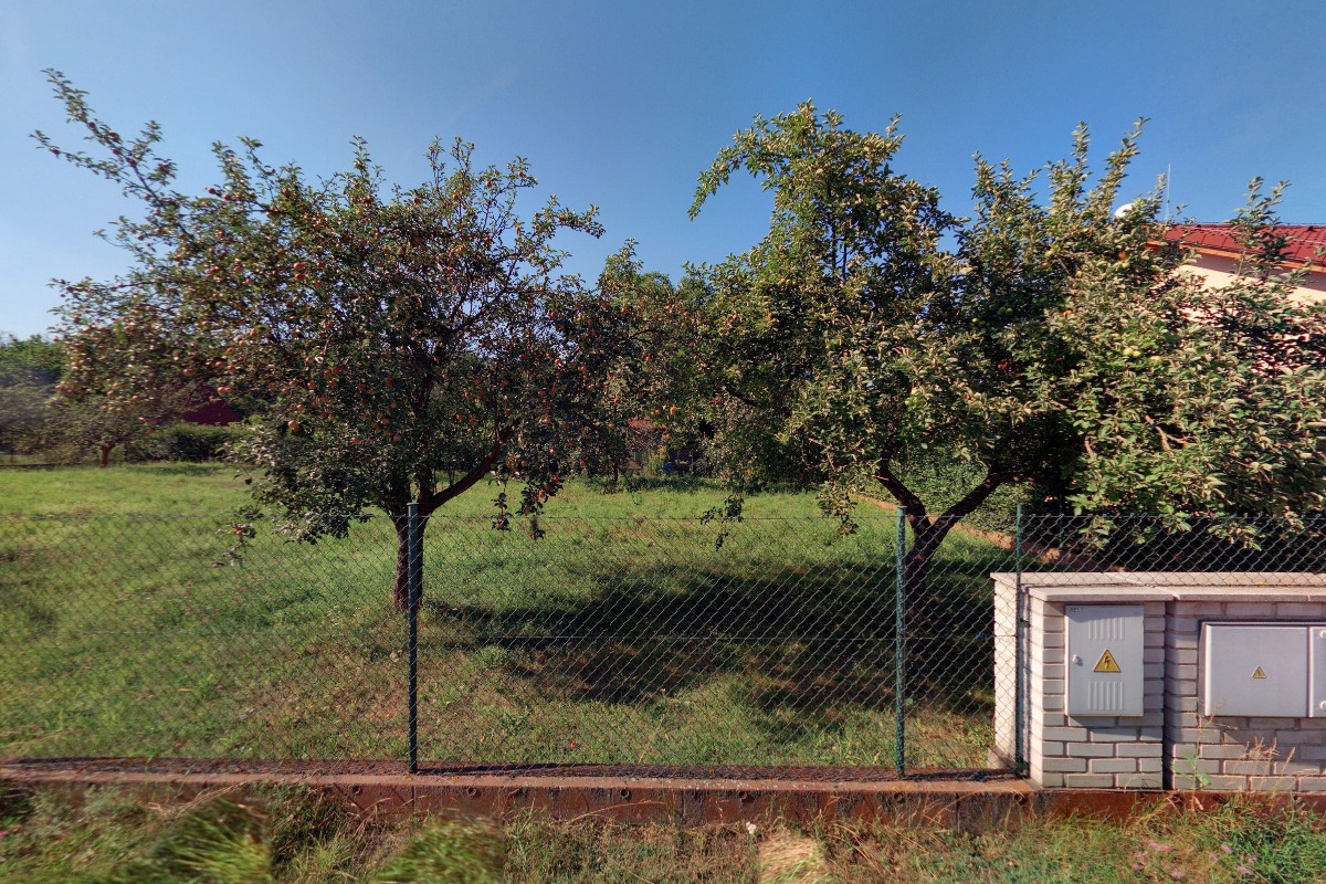 Sazenice Okrouhlo foto 2