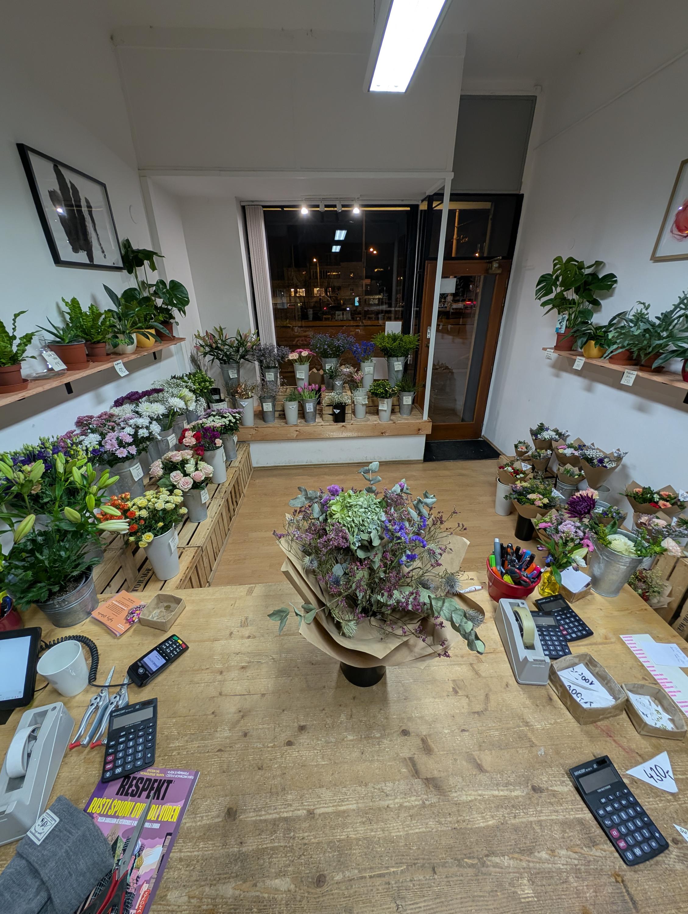 Kytky Orionka foto 2