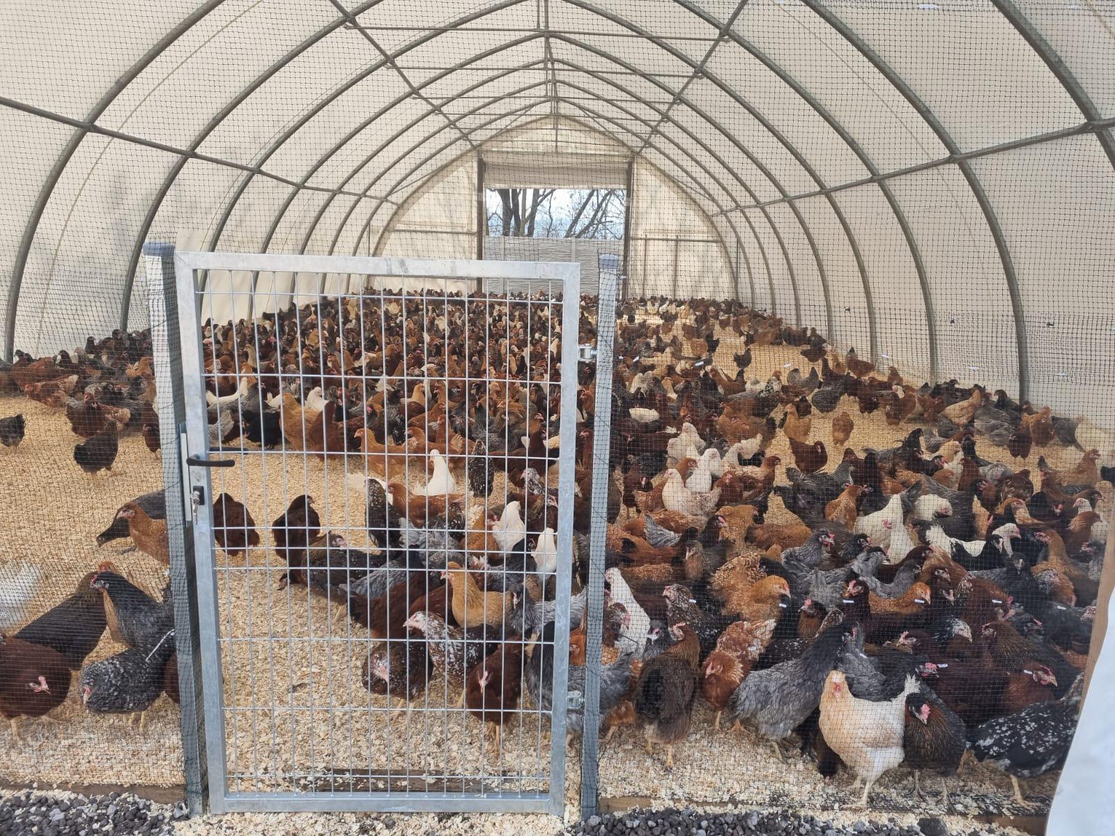 FARMA VERUNKA, s.r.o. foto 1