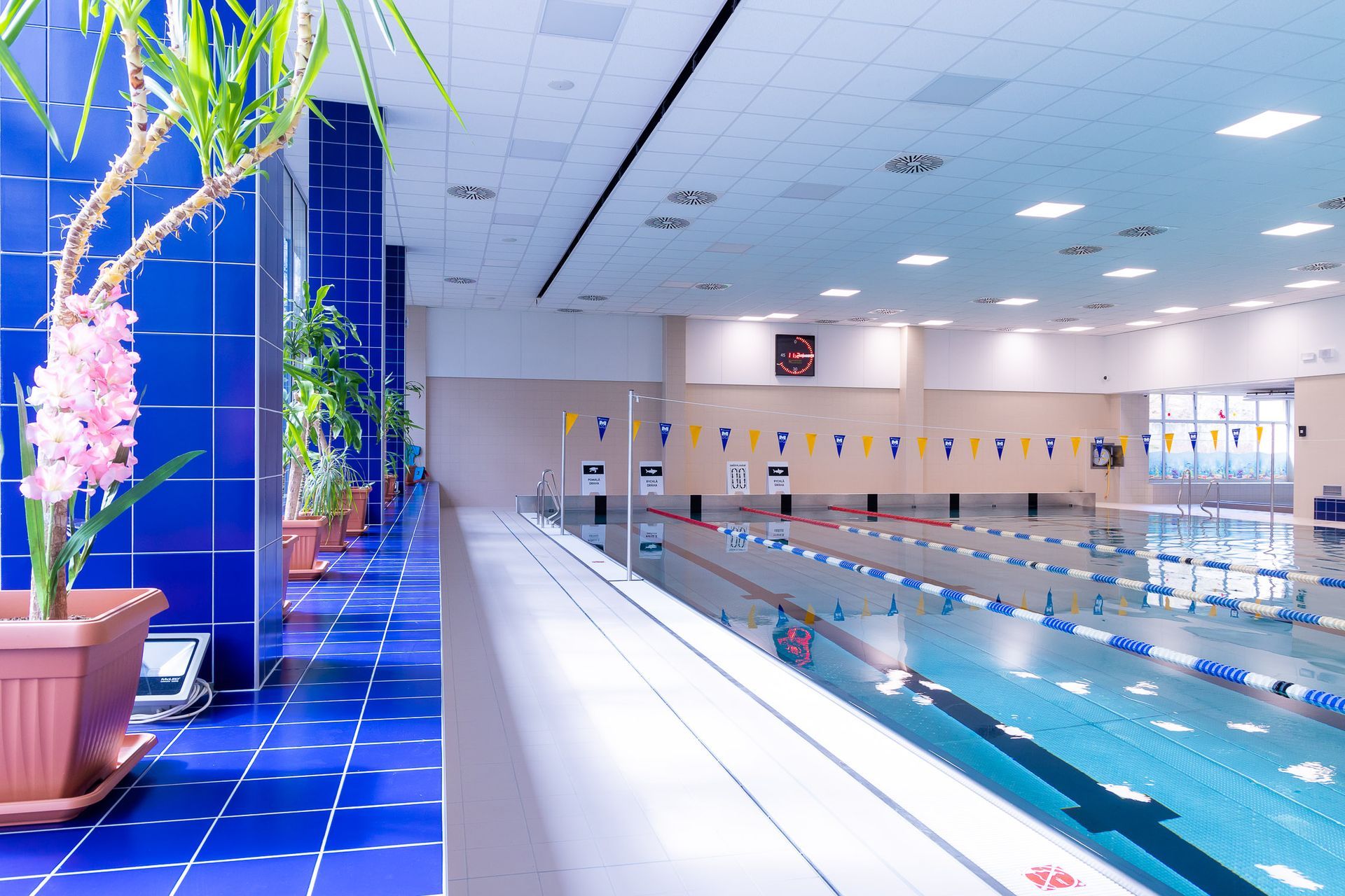 Plavecký bazén Kralupy nad Vltavou