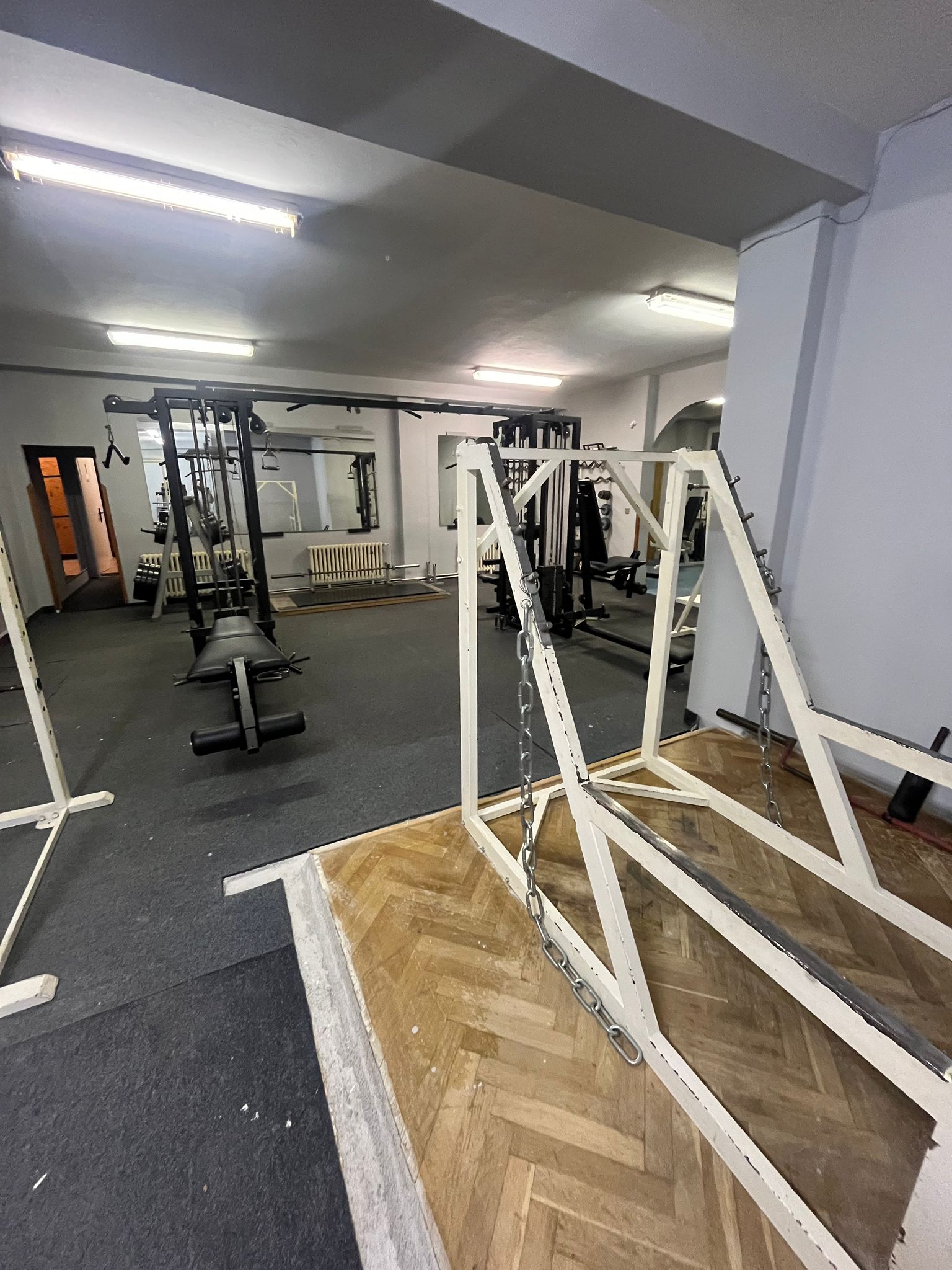 GYM RAT FAMILY foto 2