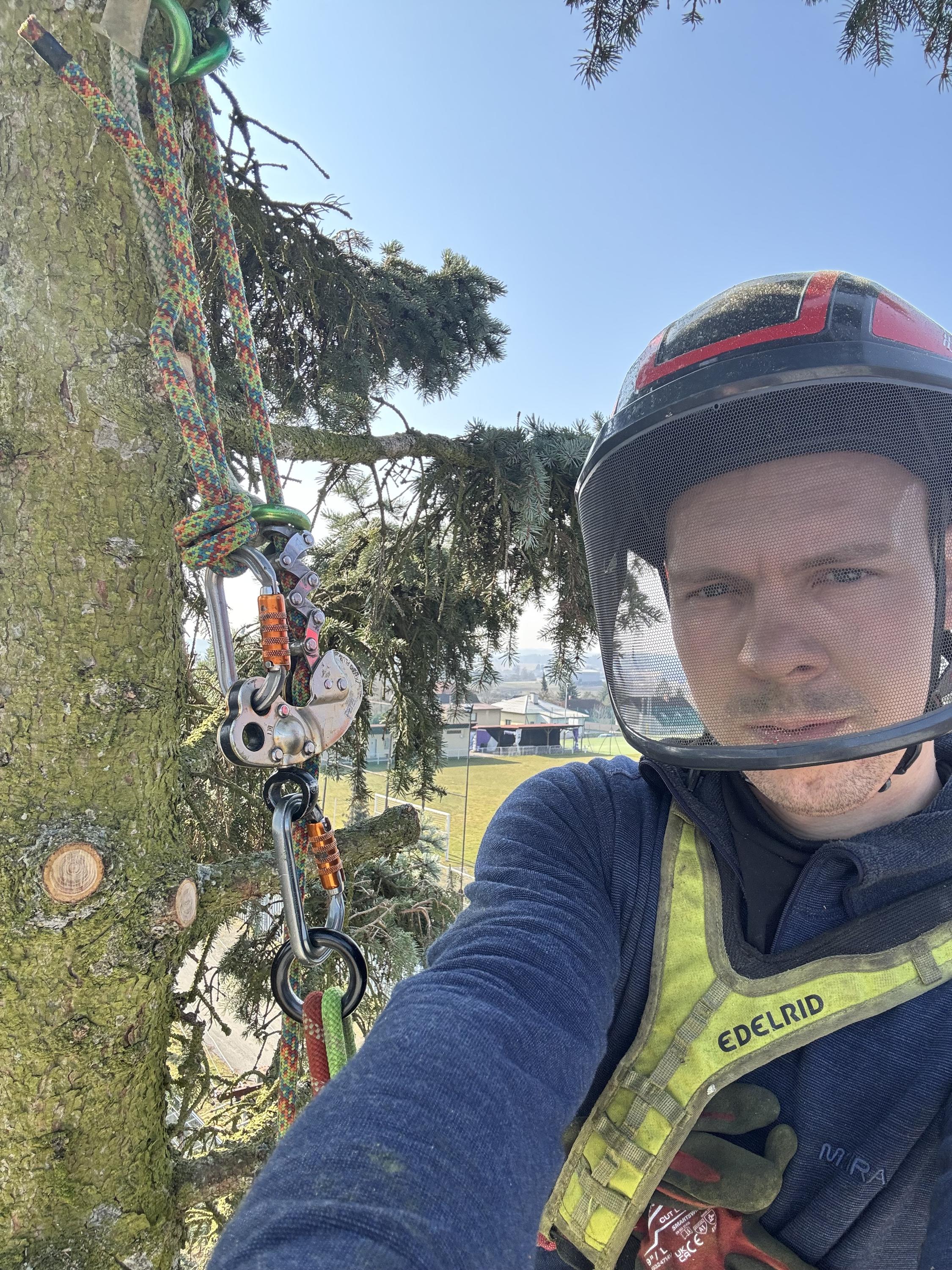 Arboristika -  Ing. Petr Pšeničný foto 5