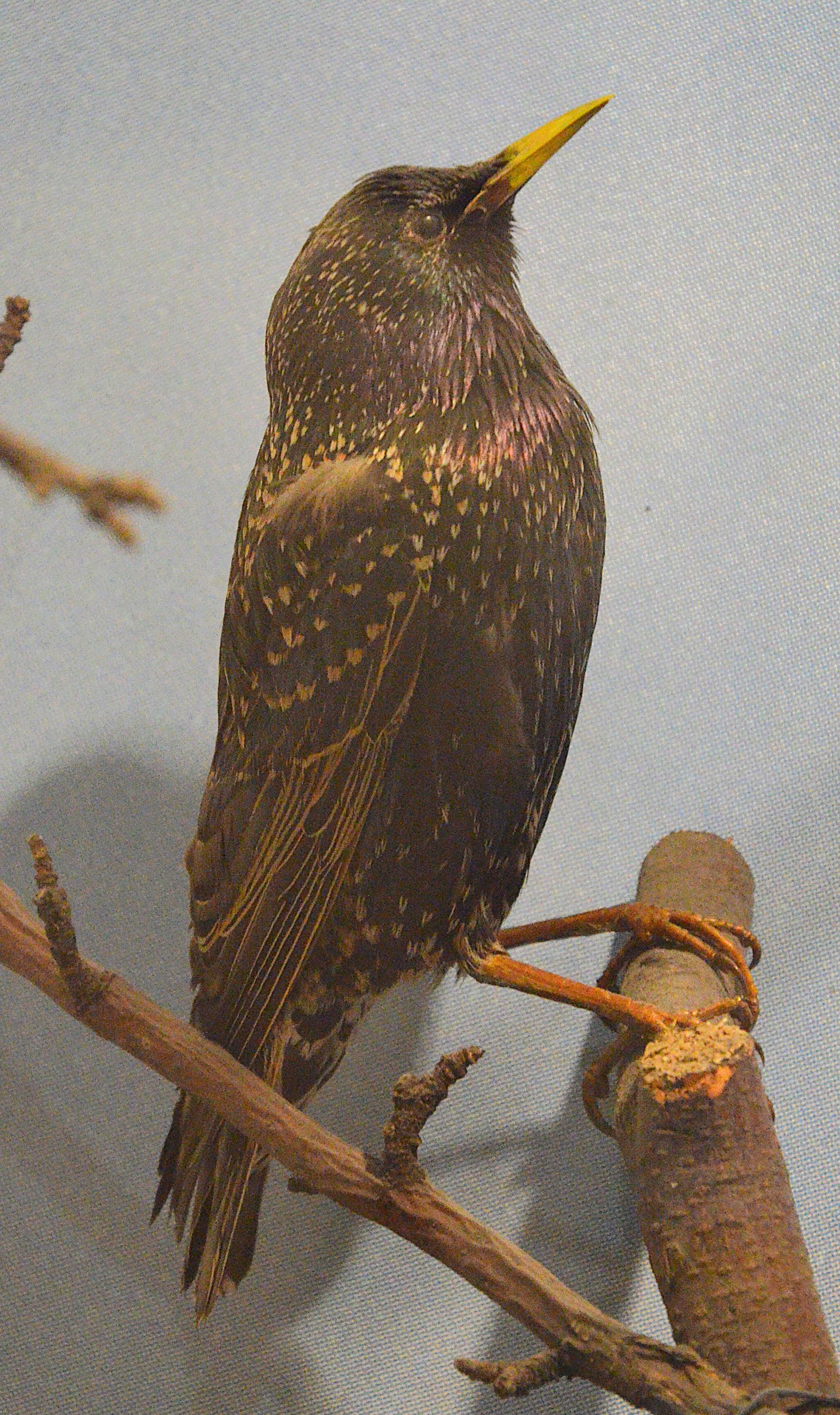 Muzeum Českého krasu foto 5