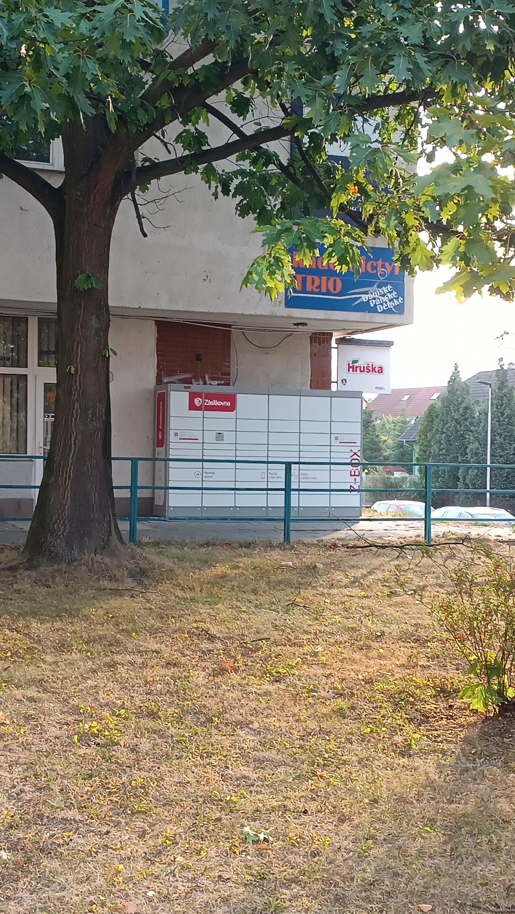 Z-BOX foto 2