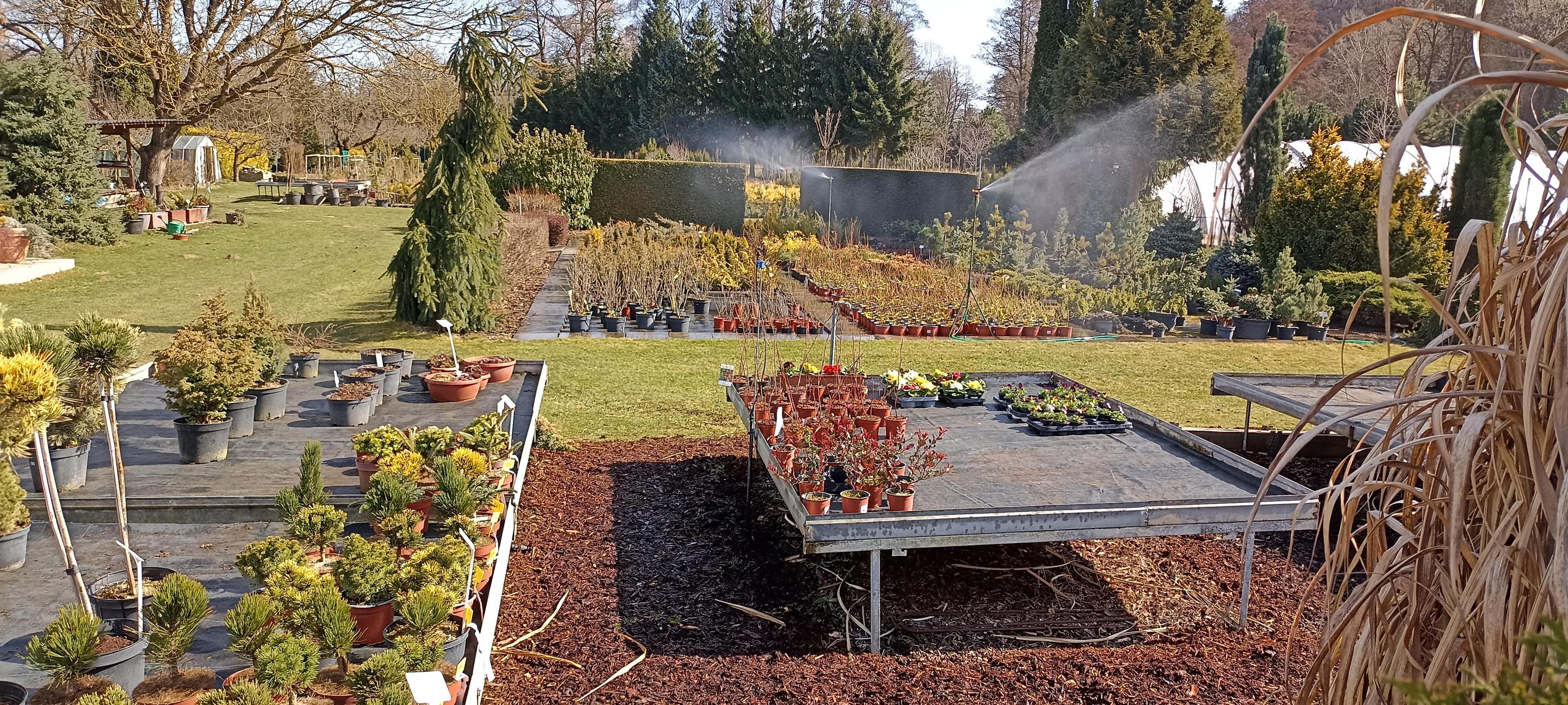 Okrasné školky – Michal Bartoš