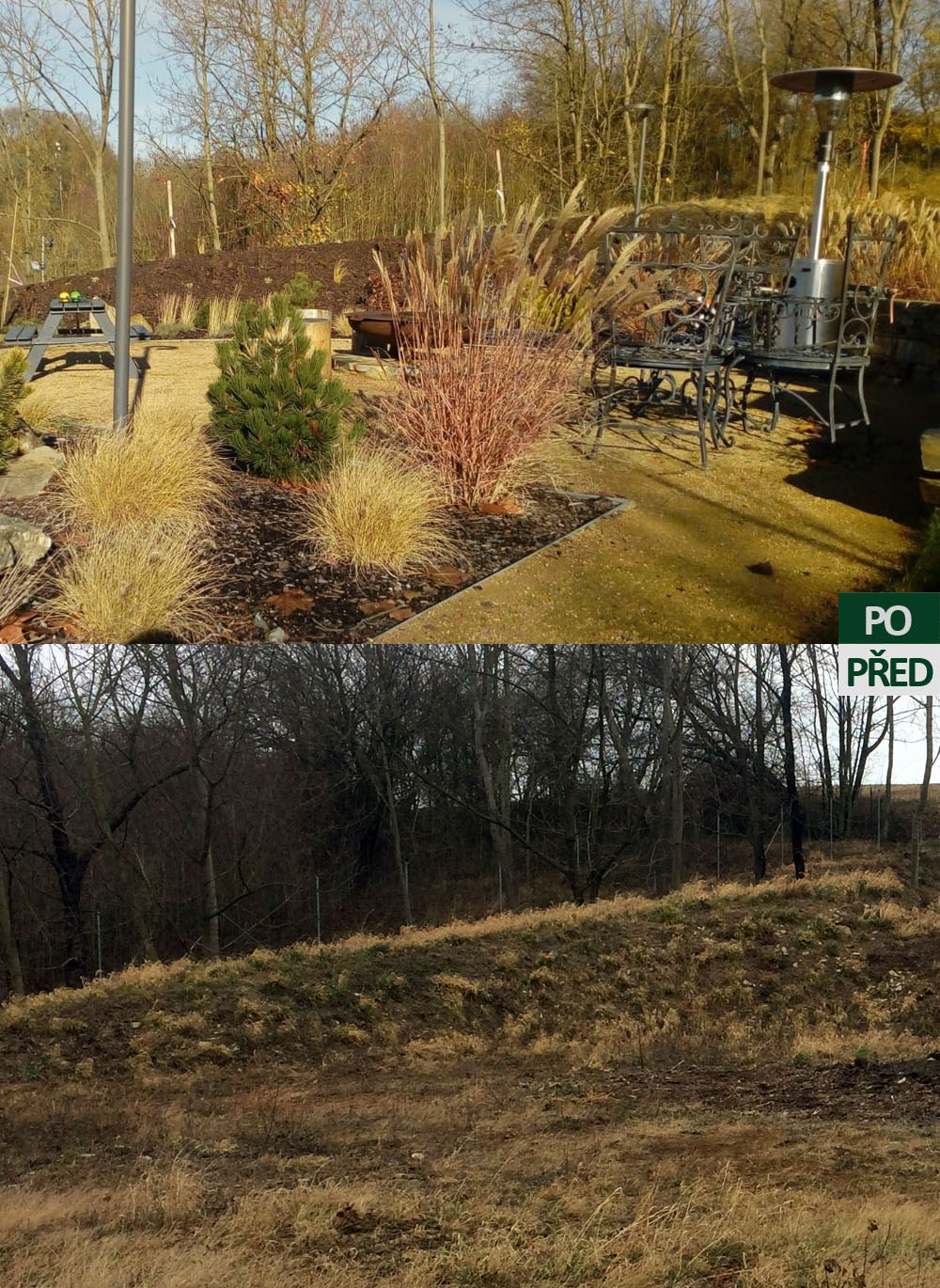 CEDRUS foto 2