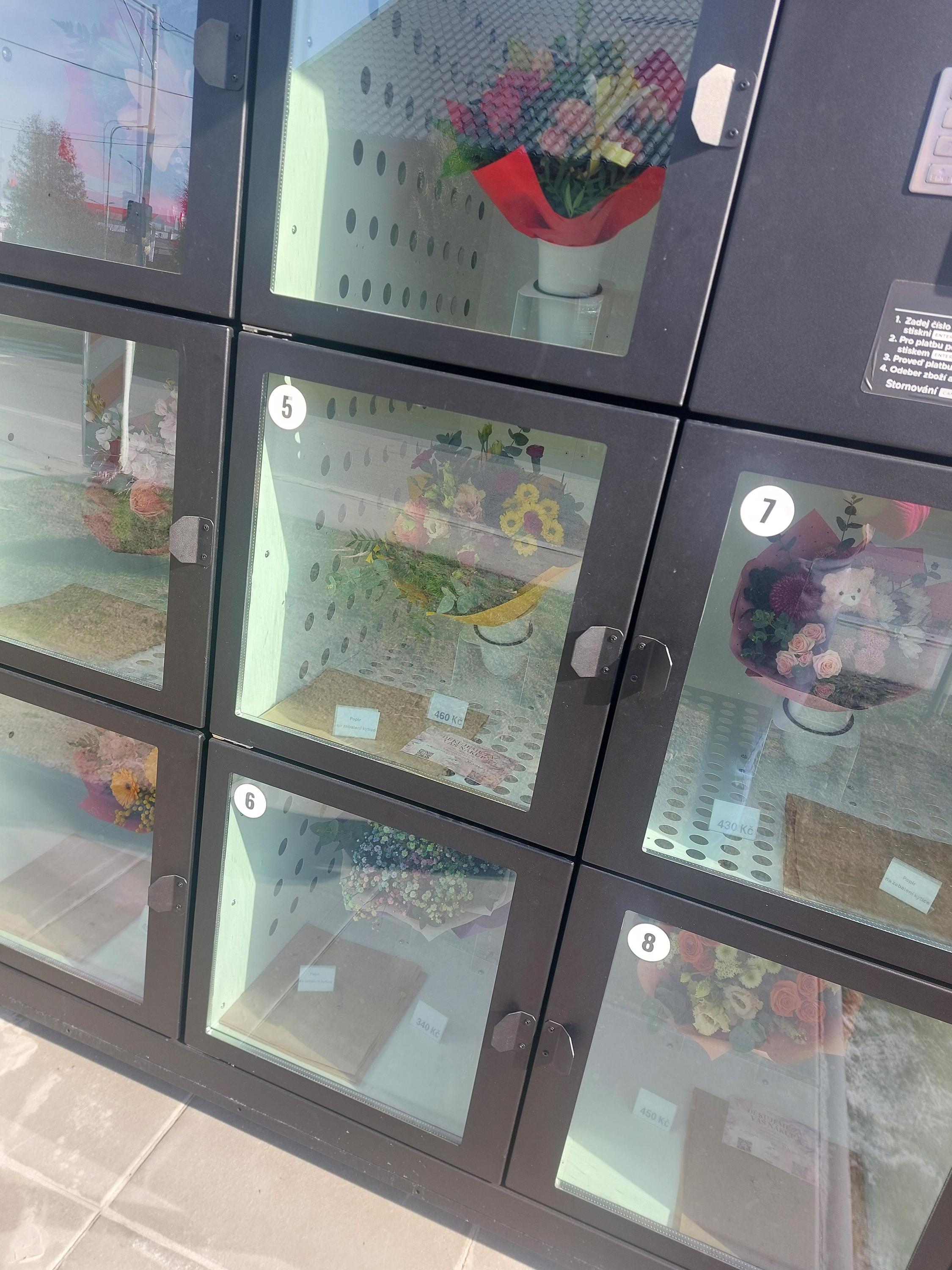 Květinka Tereza foto 2