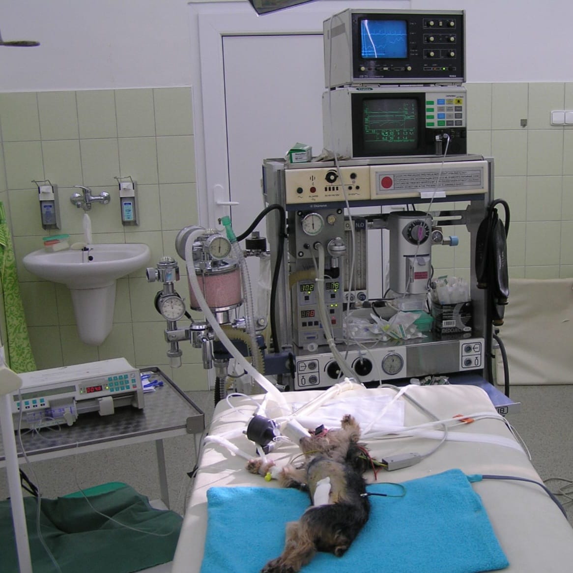 Veterinární ambulance MVDr. Ivo Grygar, CSc. foto 5