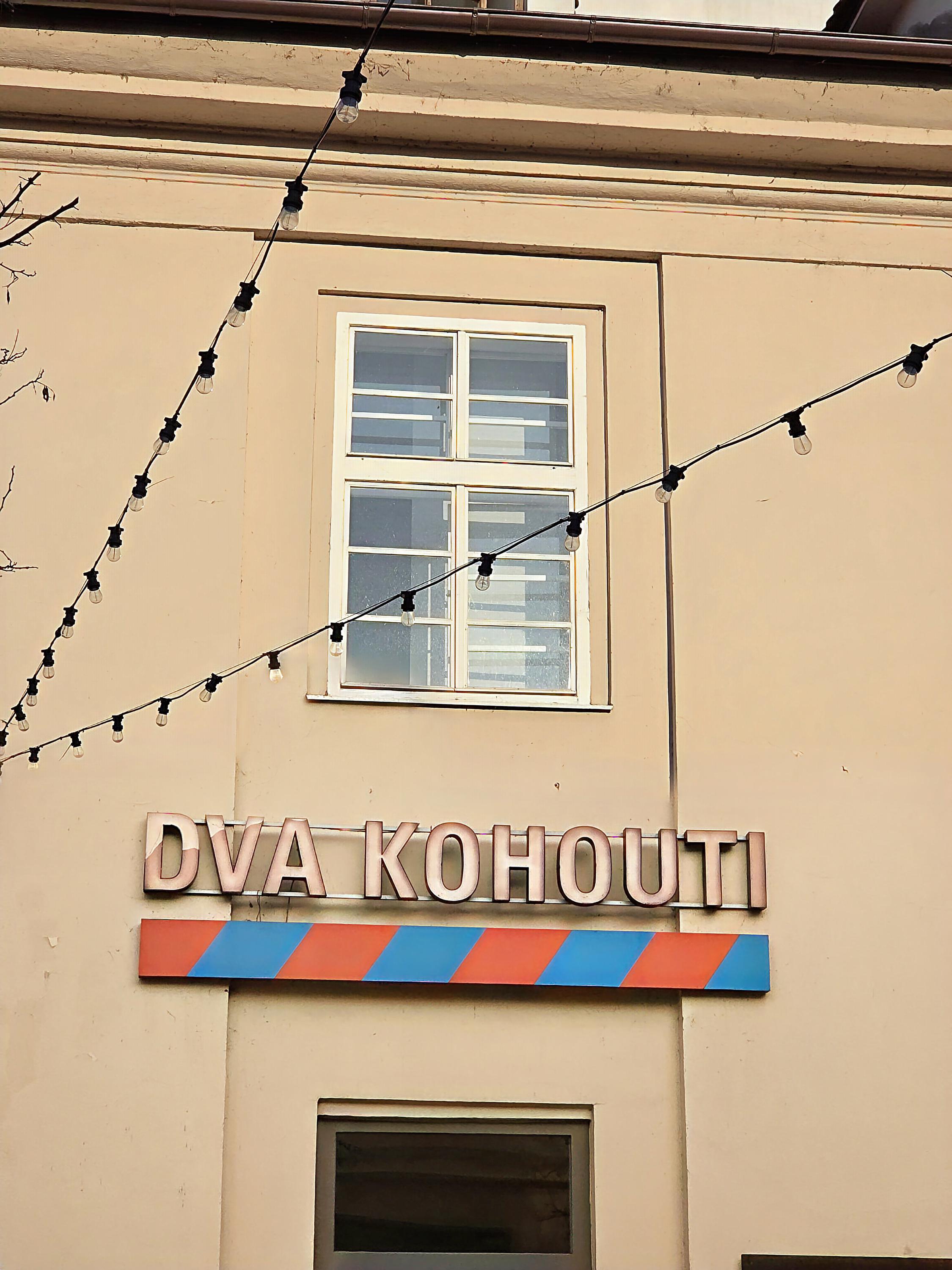 Dva kohouti foto 5
