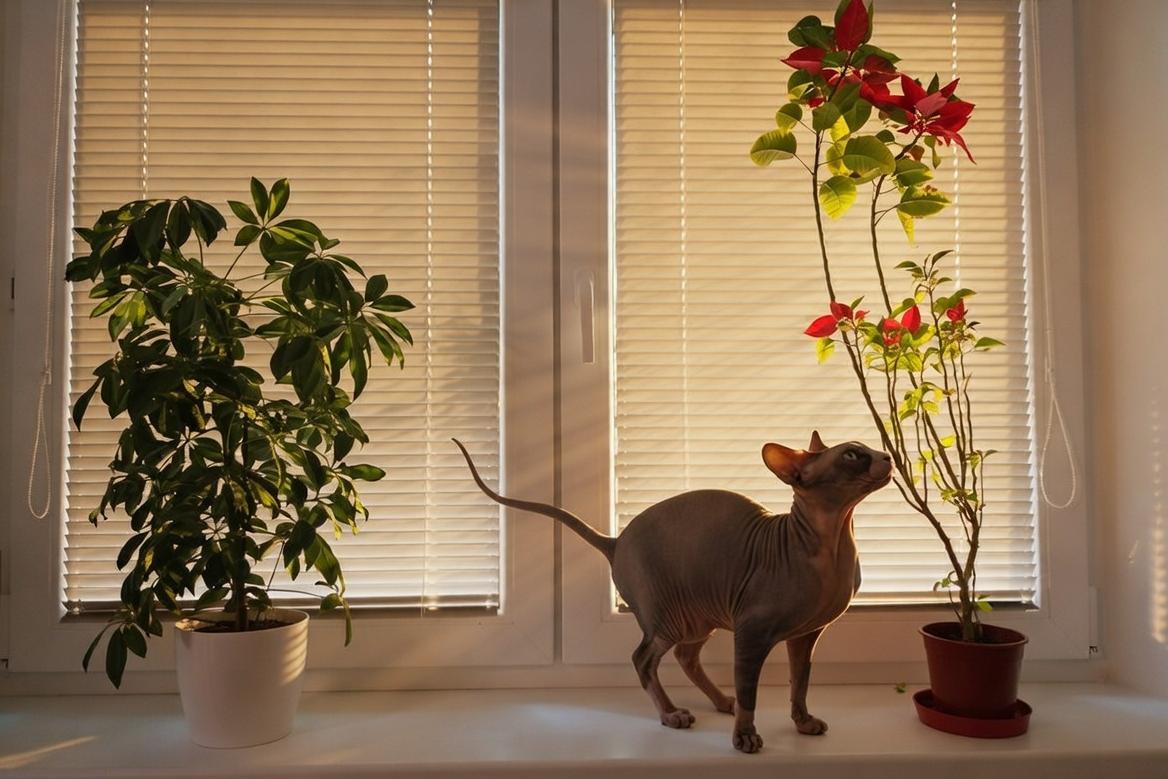 Montáž + demontáž ZDARMA