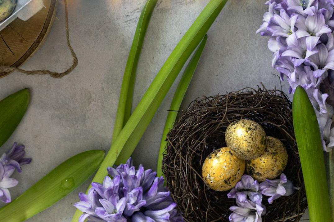 Velikonoční degustační menu