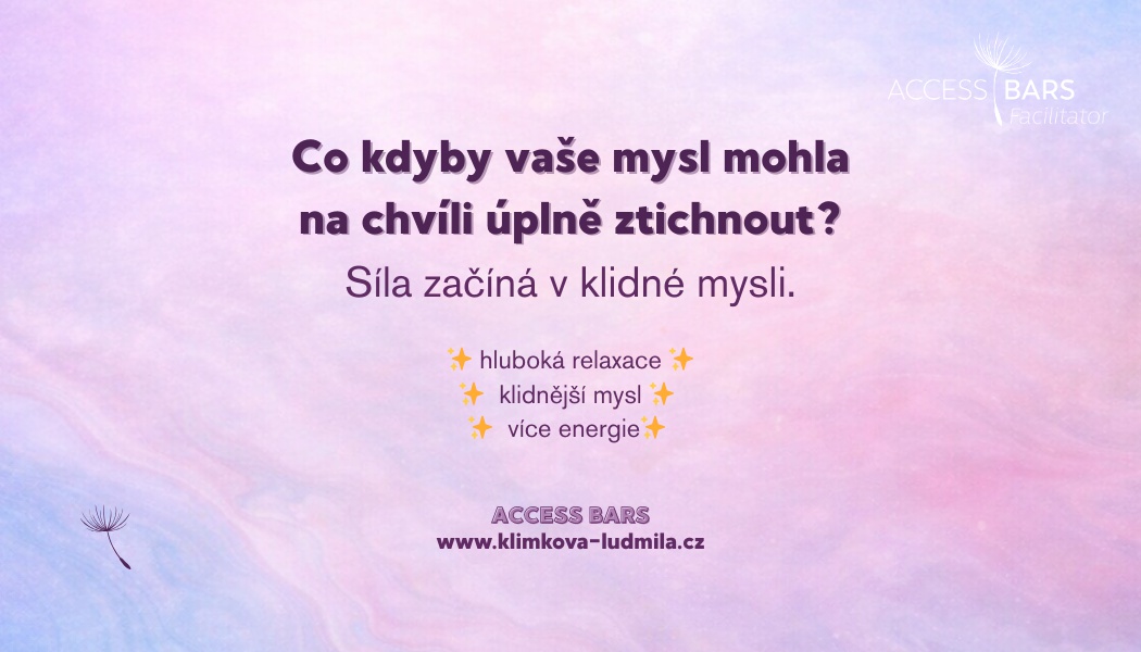 Access - Ludmila Bendíková Klímková foto 2