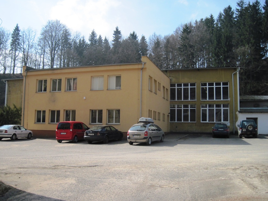 Terier foto 2