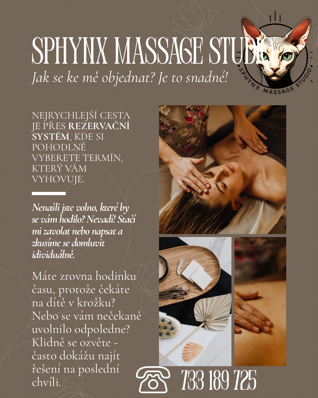 Sphynx massage studio foto 4