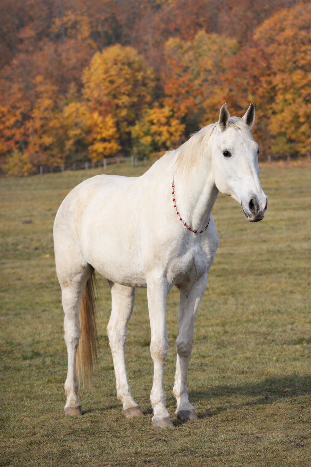 OSTROV NADĚJE o.s. foto 3