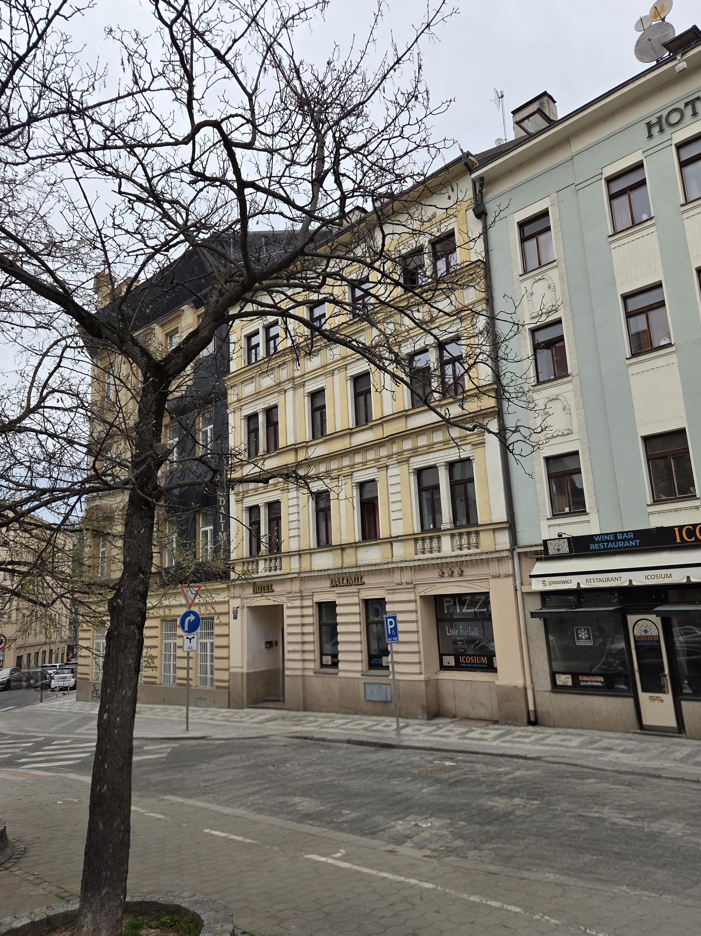 Hotel Dalimil foto 1