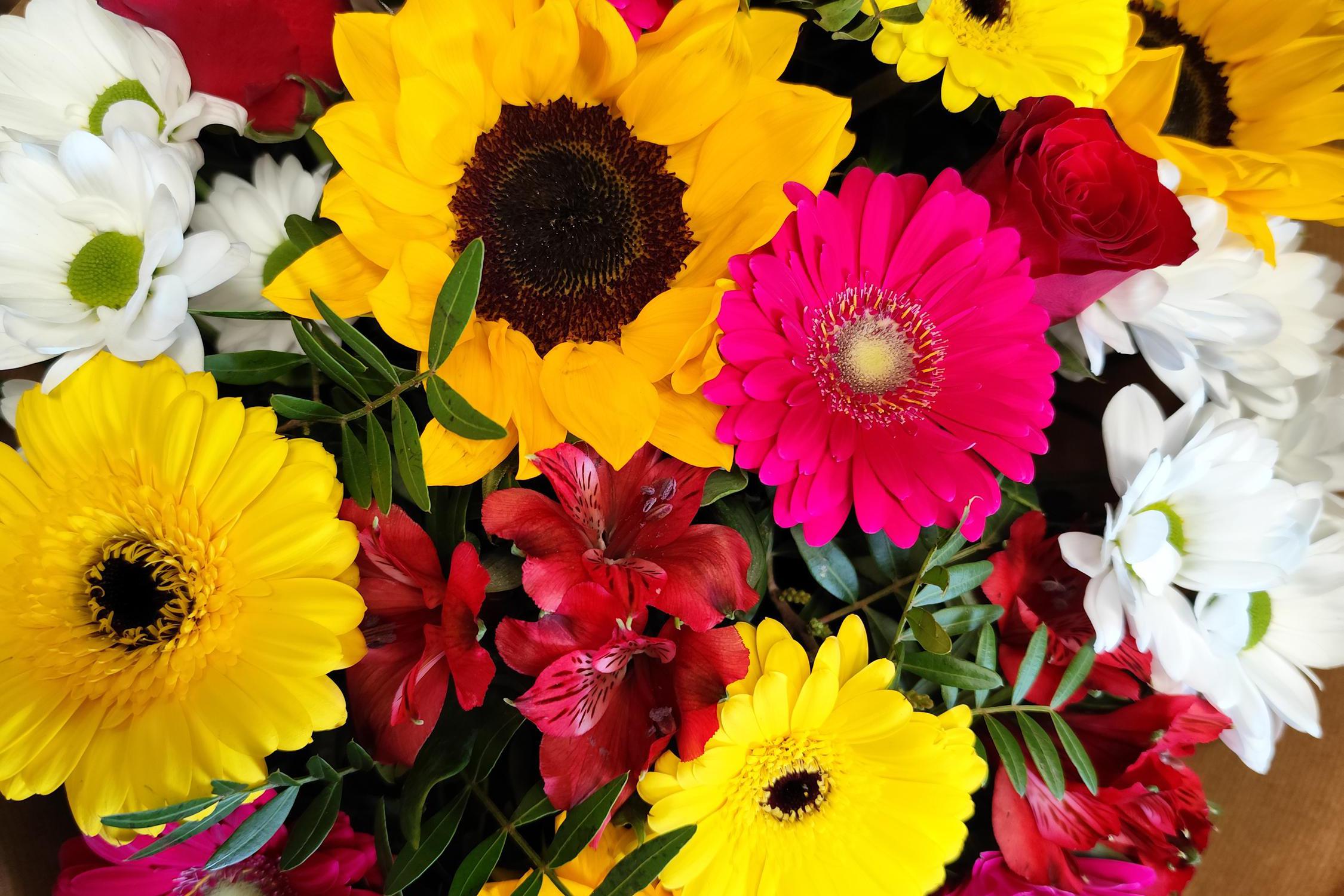 KVĚTINÁŘSTVÍ Lendy's