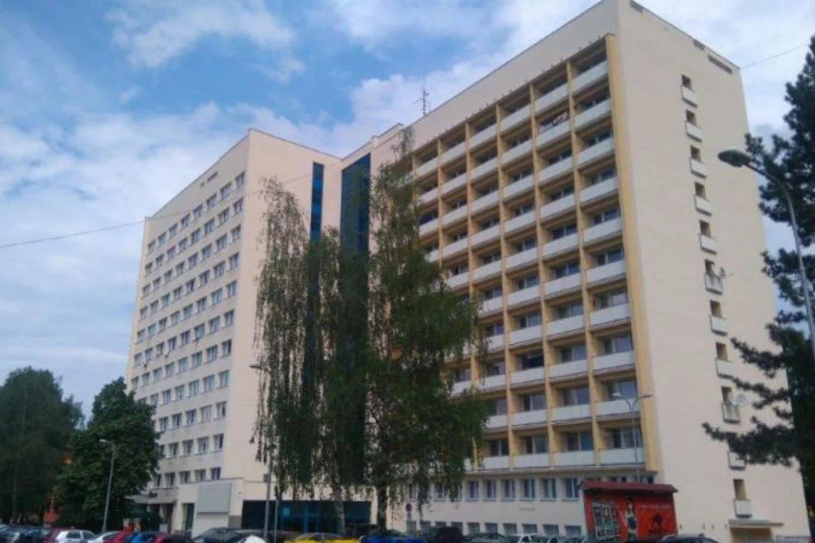 Slezská diakonie - EFFATHA Frýdek-Místek, sociálně terapeutické dílny