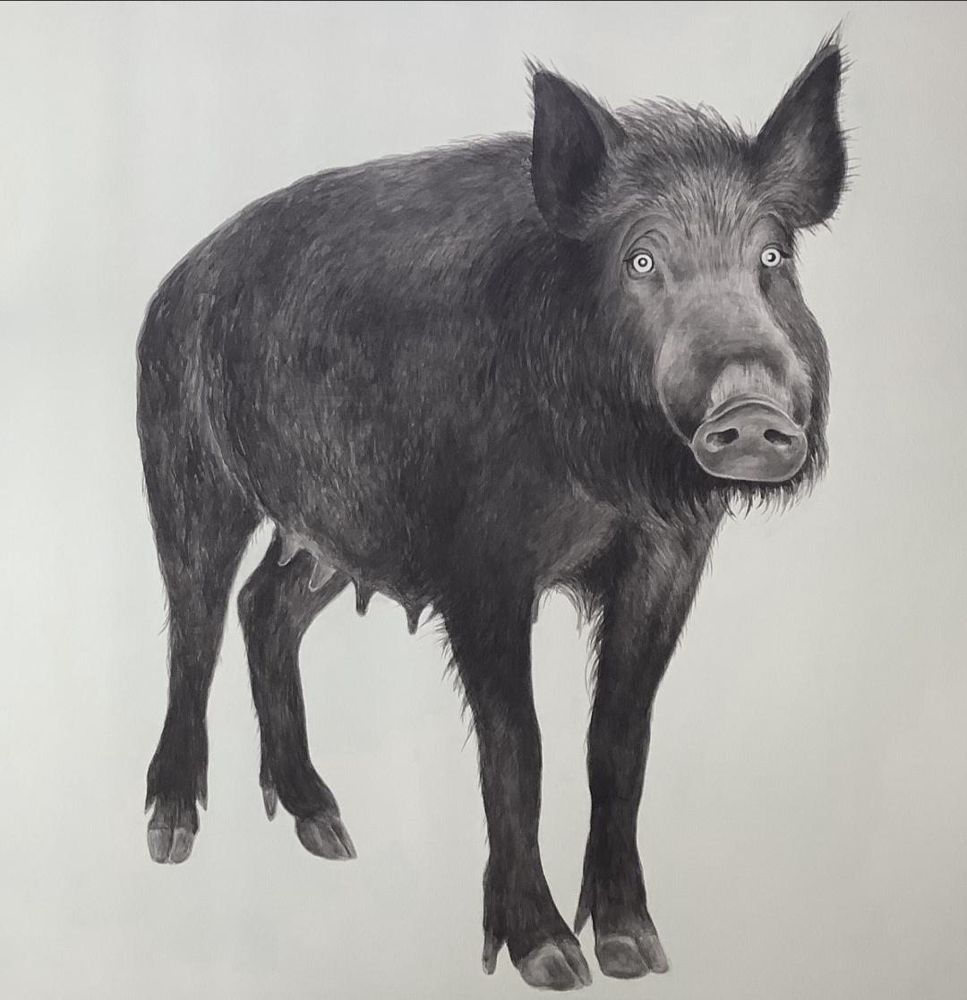 ART ECON - Vyšší odborná škola, s.r.o. foto 5