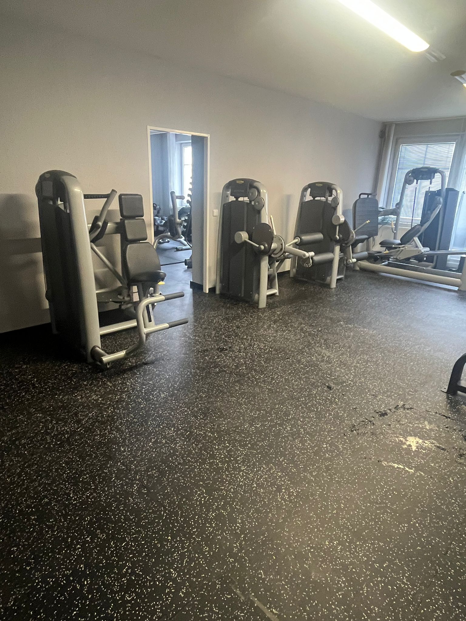 Gym Rat Family foto 6