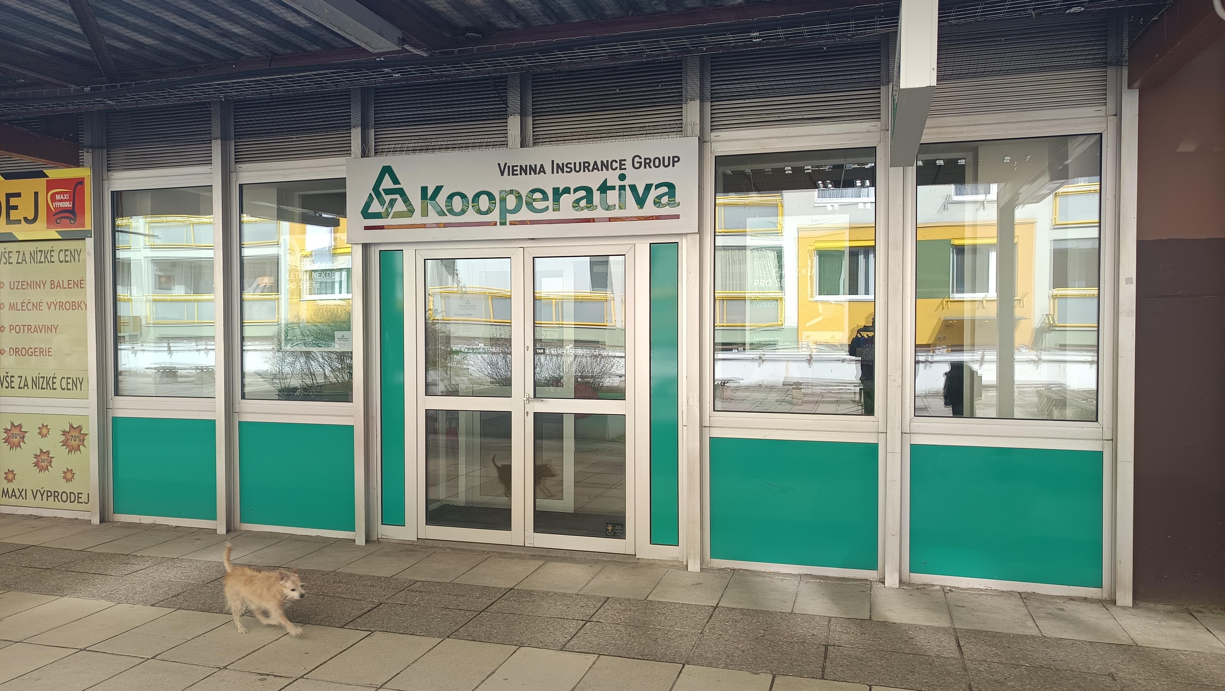 Kooperativa pojišťovna foto 2