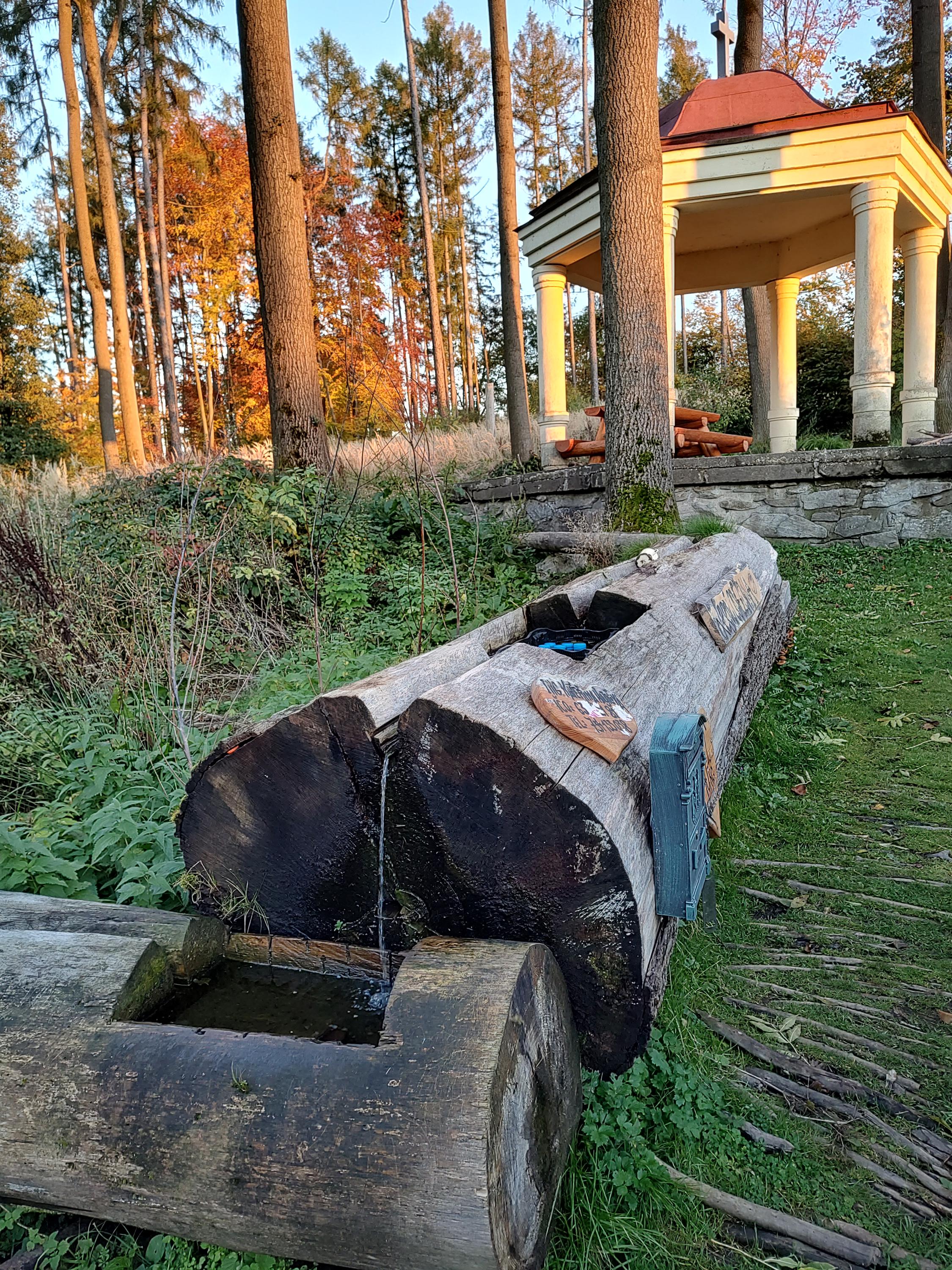 Lesní Osvěžovna foto 6