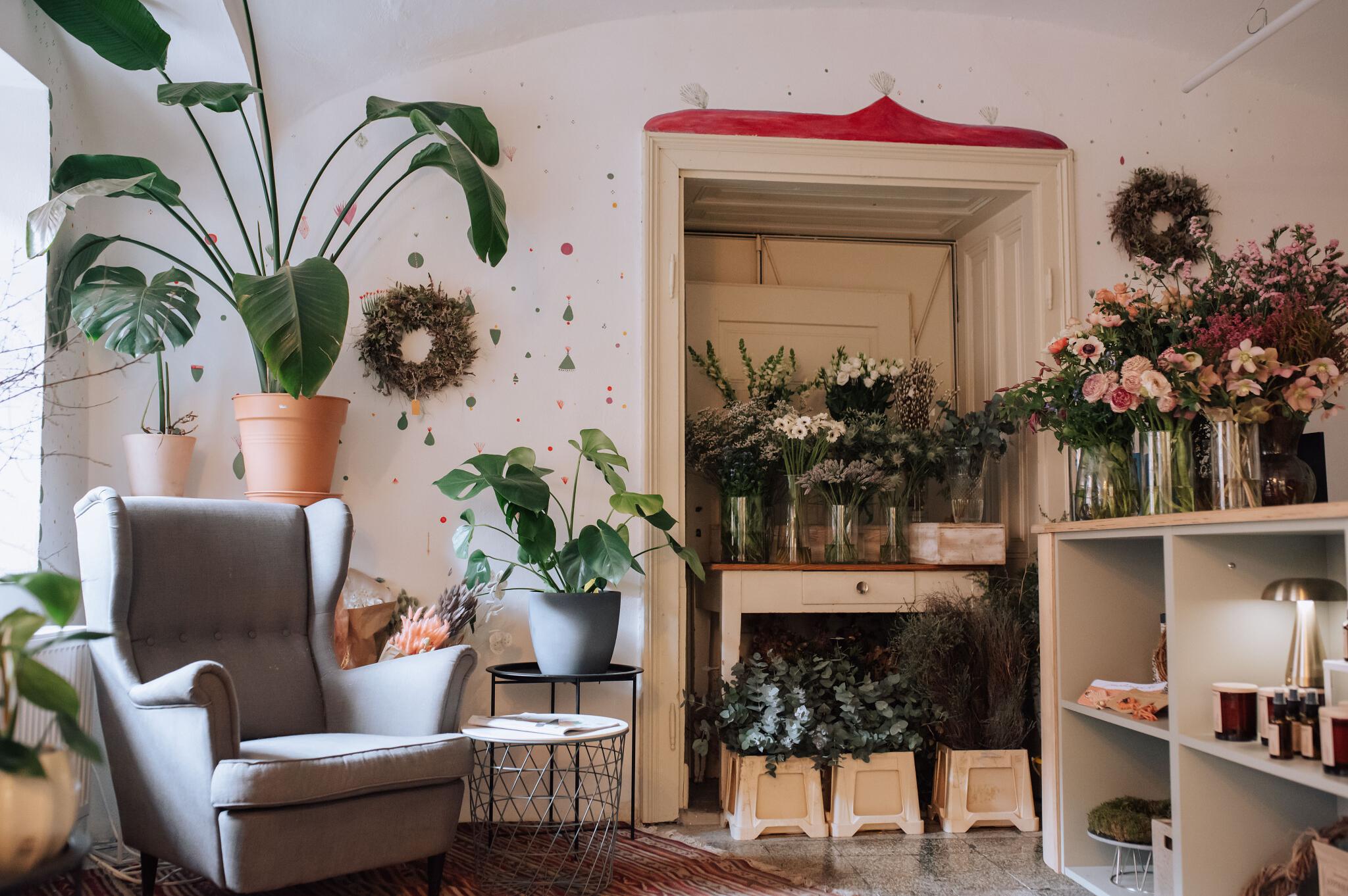 Rostlinopis Třebíč