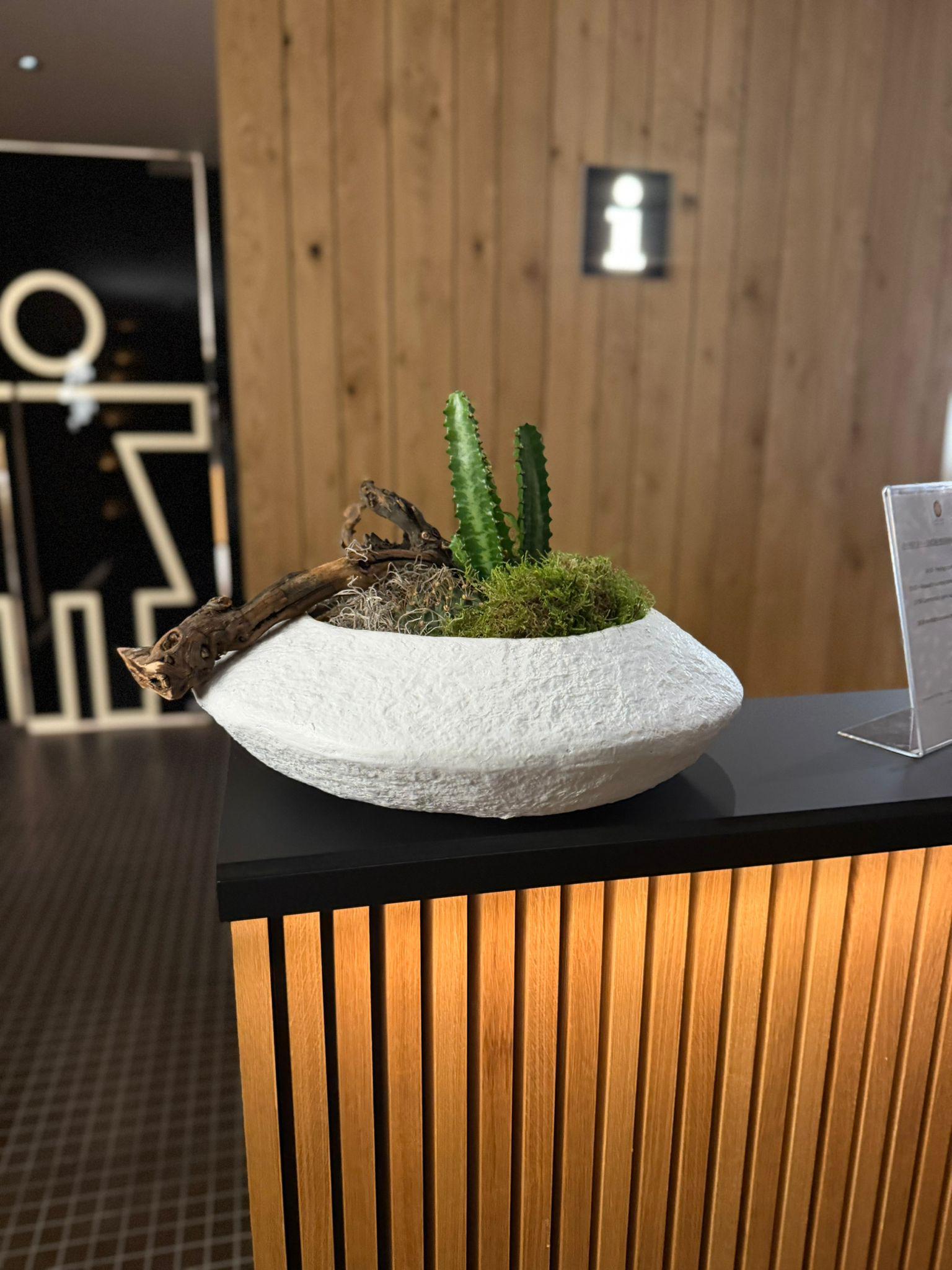 Hotel Prior & Energy Spa foto 5