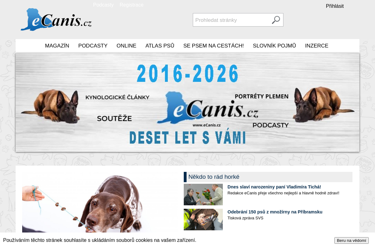 eCanis media, s.r.o.