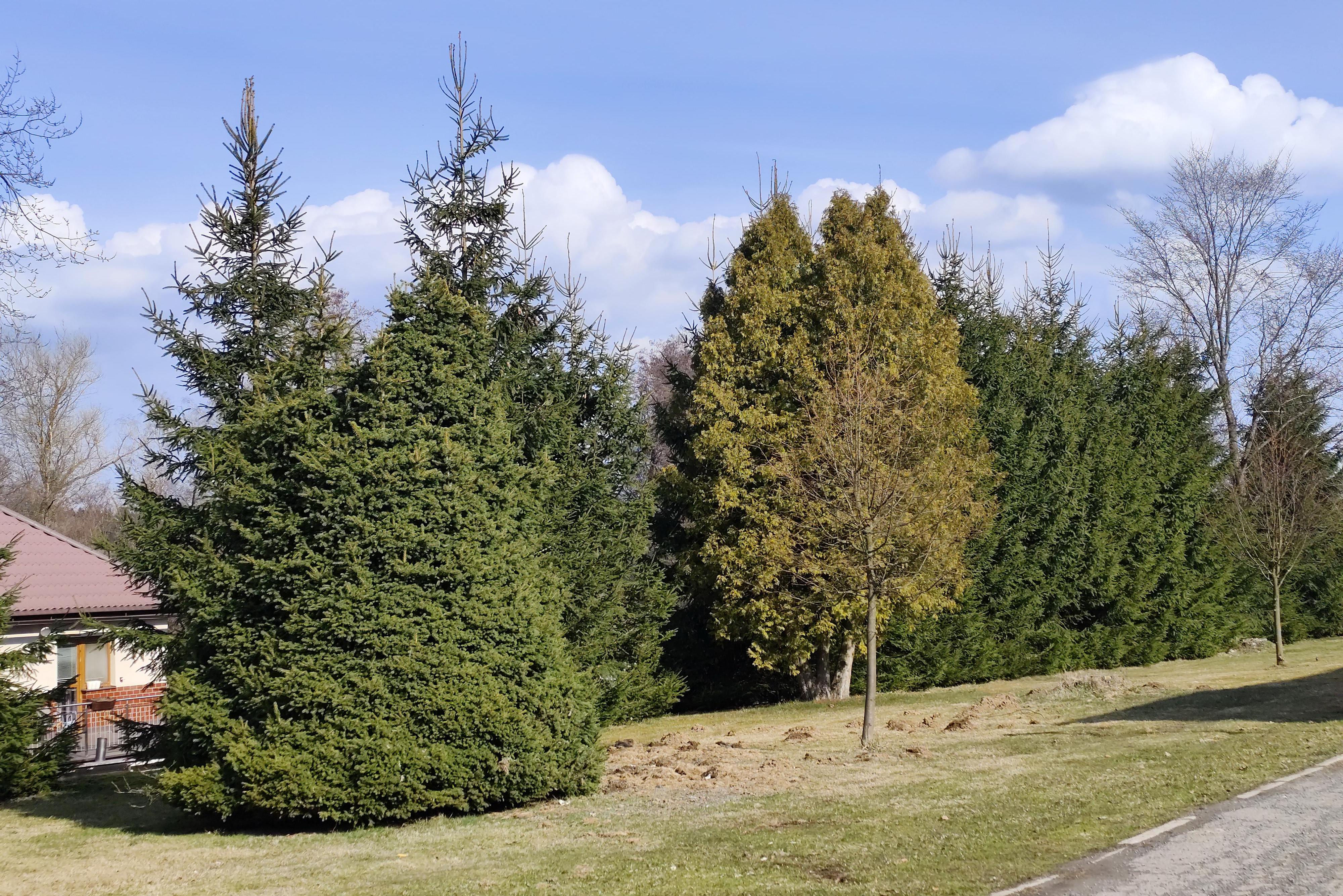 Zahradnické práce Franek