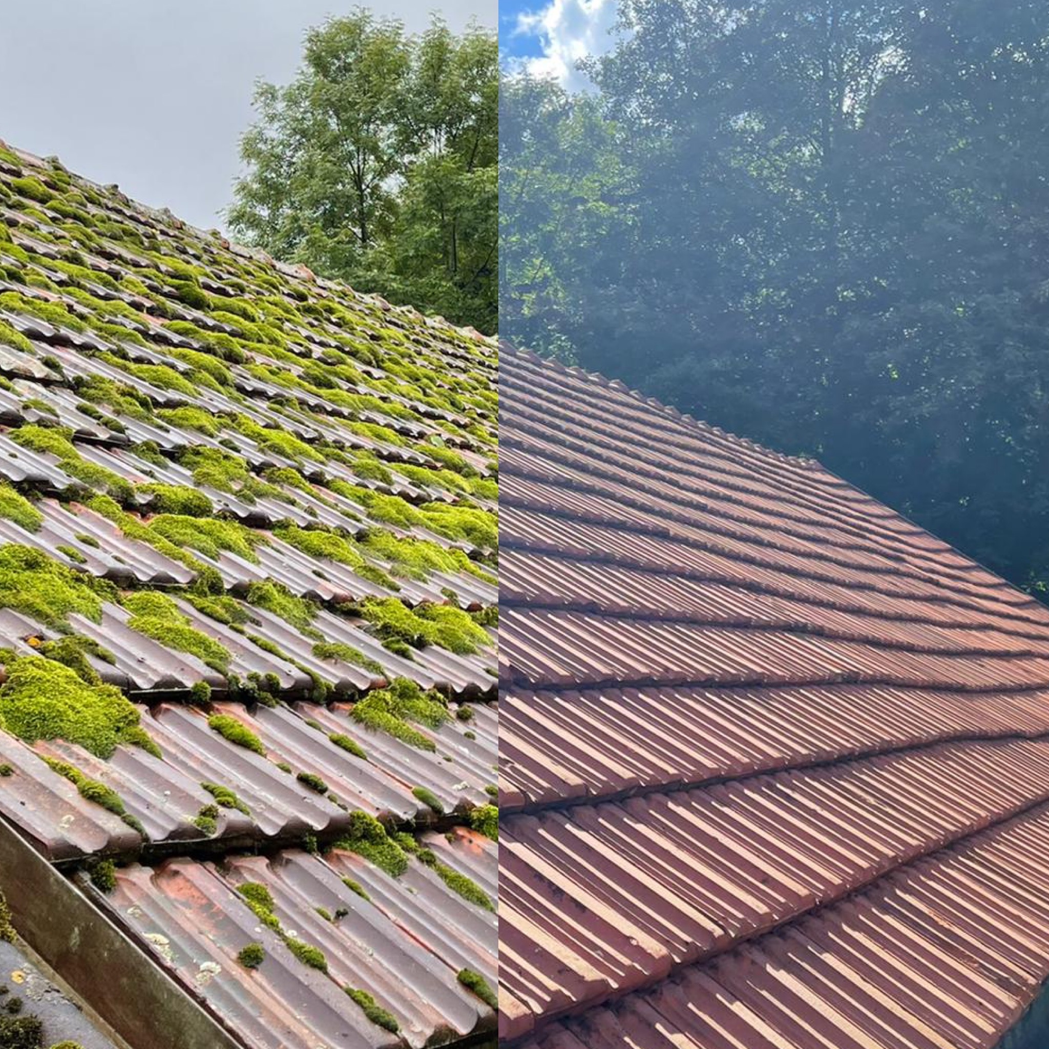 SLN Solutions - Profesionální péče o váš dům foto 2