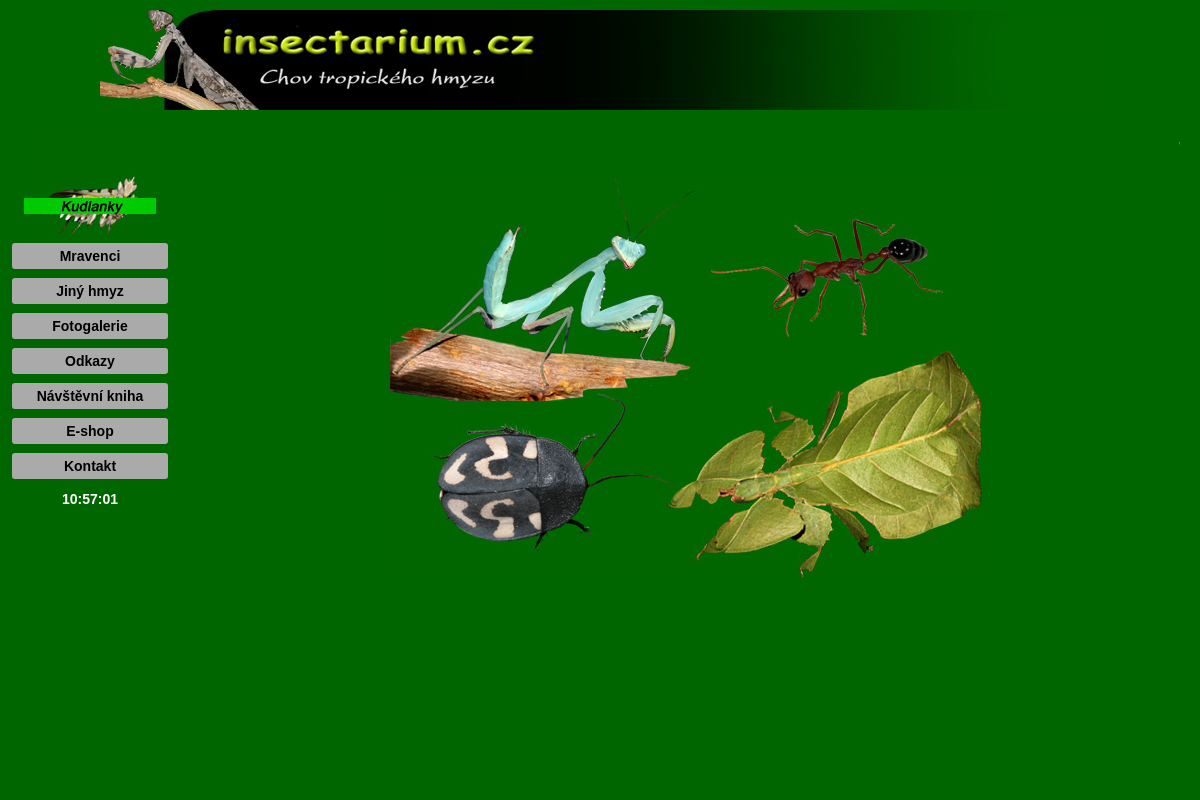 Insectarium.cz