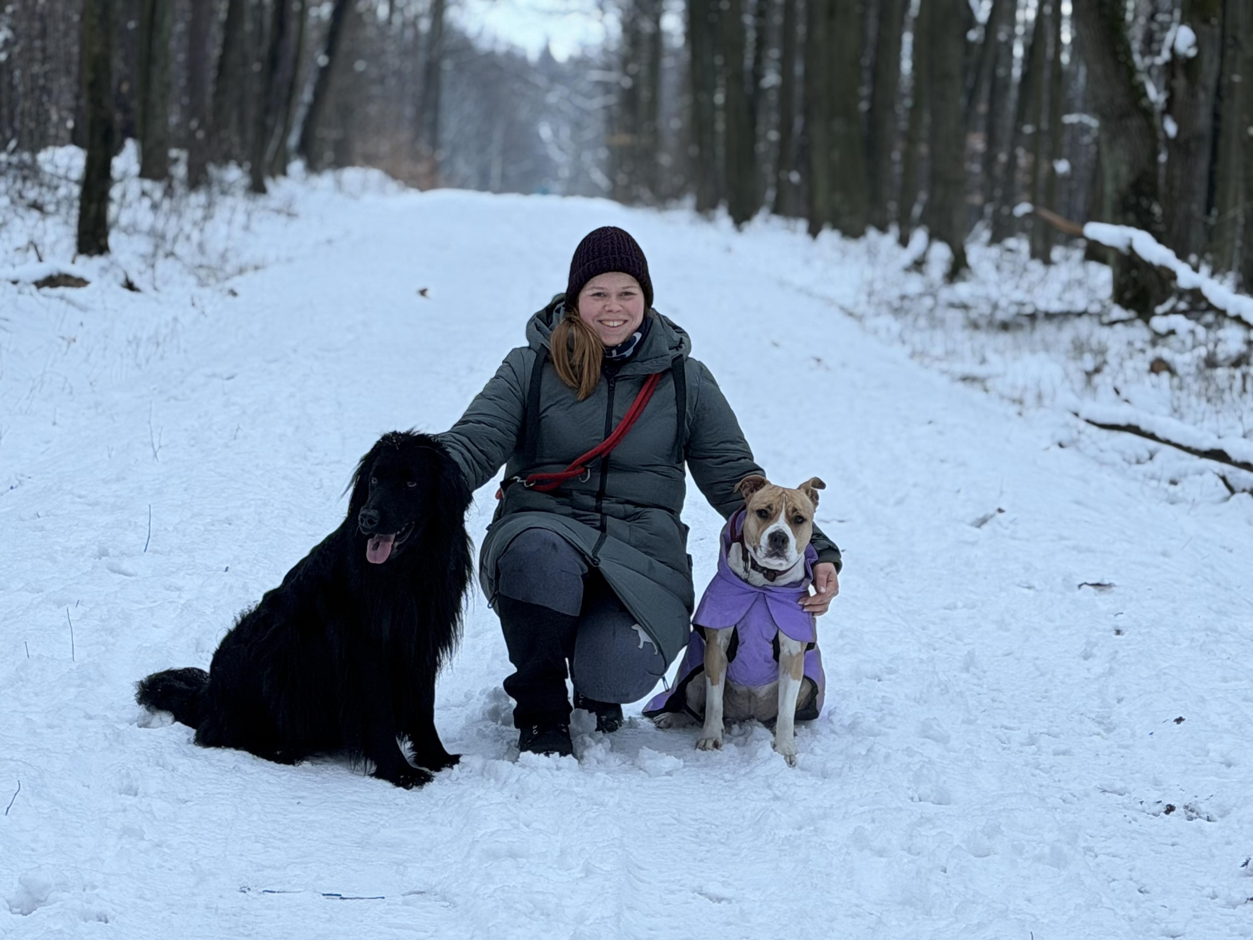 Zvládneme to hravě - výcvik psů foto 1
