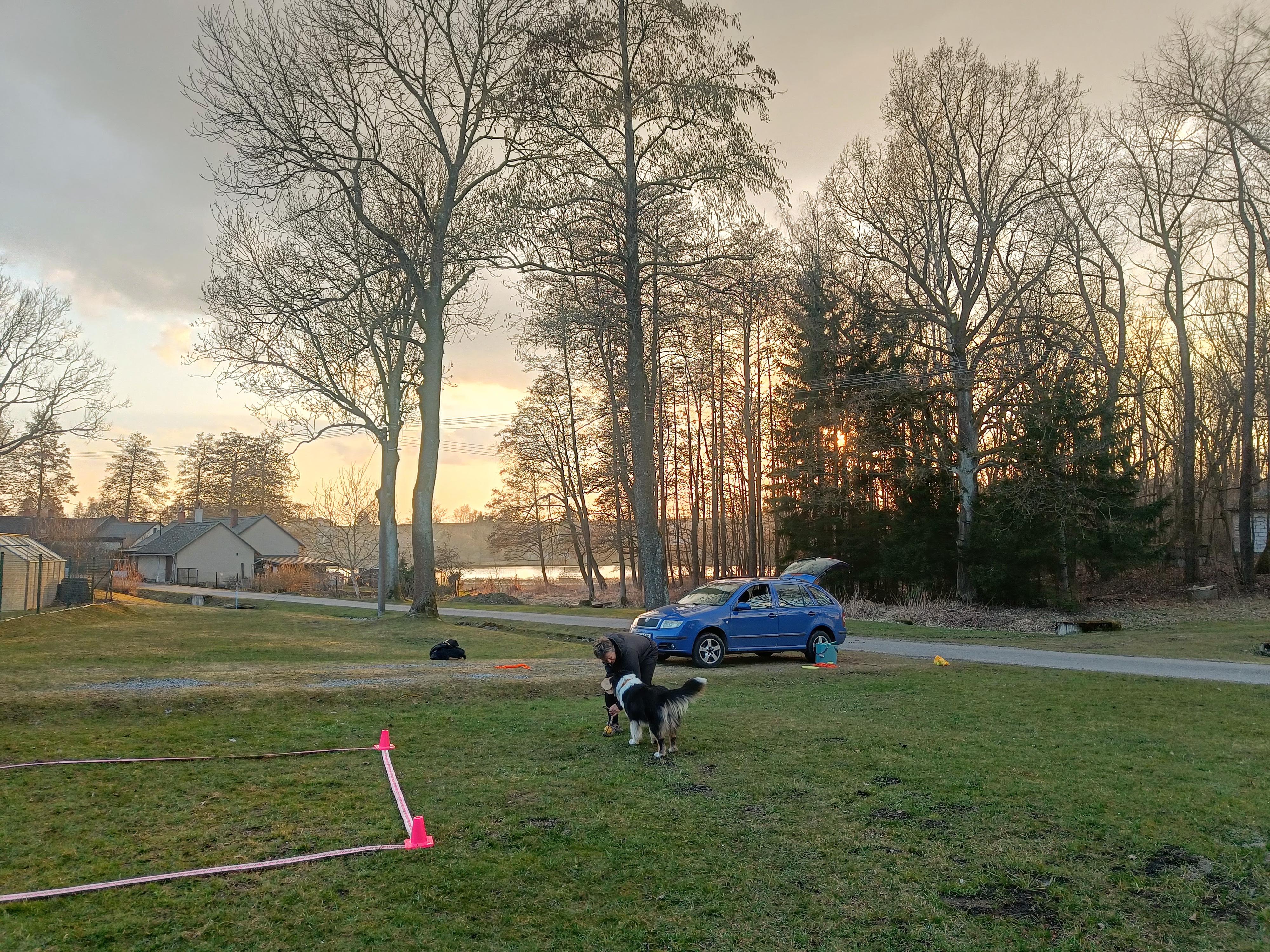 Click dog foto 3