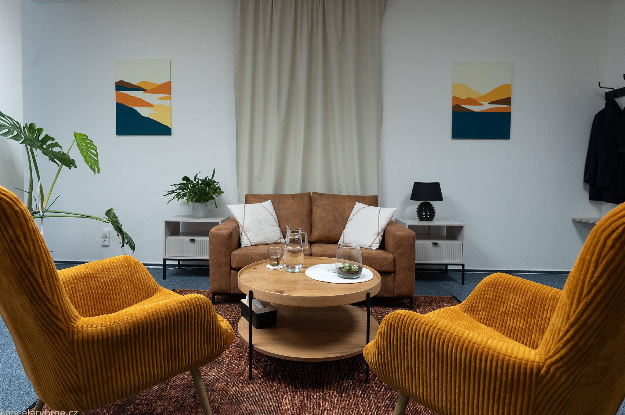 Supervize a koučink - Tereza Chladilová