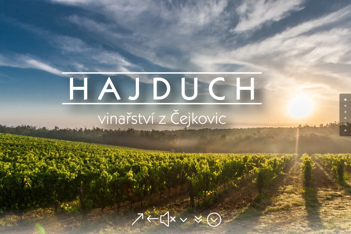 Hajduch vinařství z Čejkovic