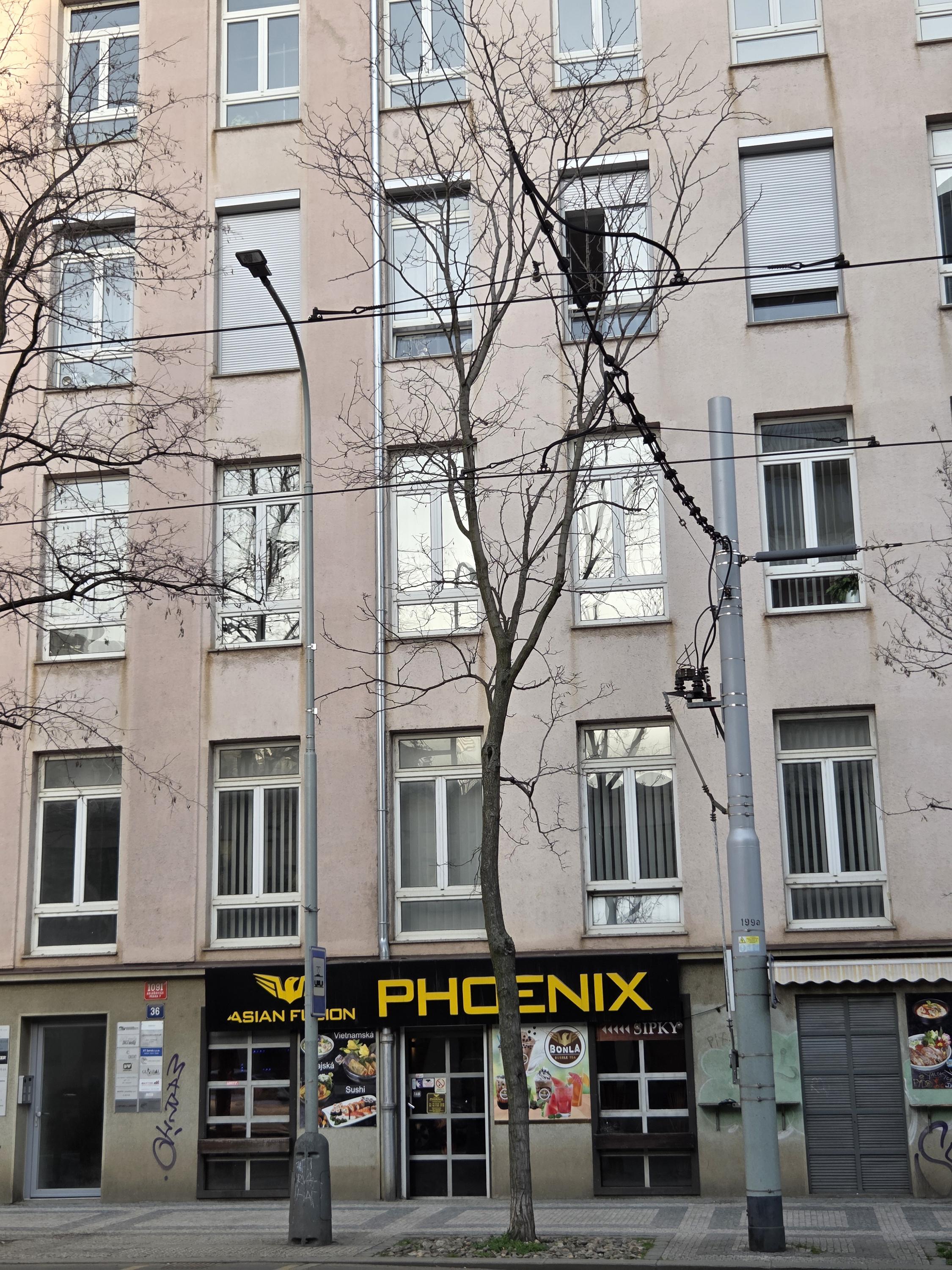 Phoenix Asian Fusion foto 3